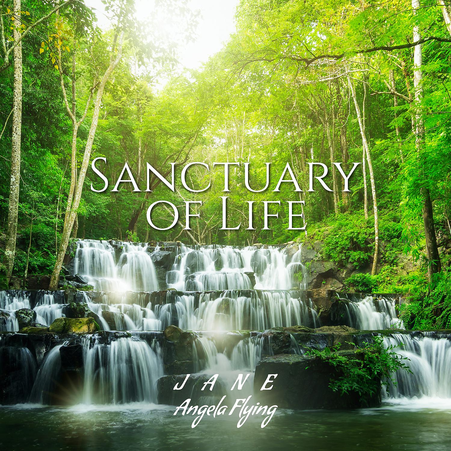 Постер альбома Sanctuary of Life