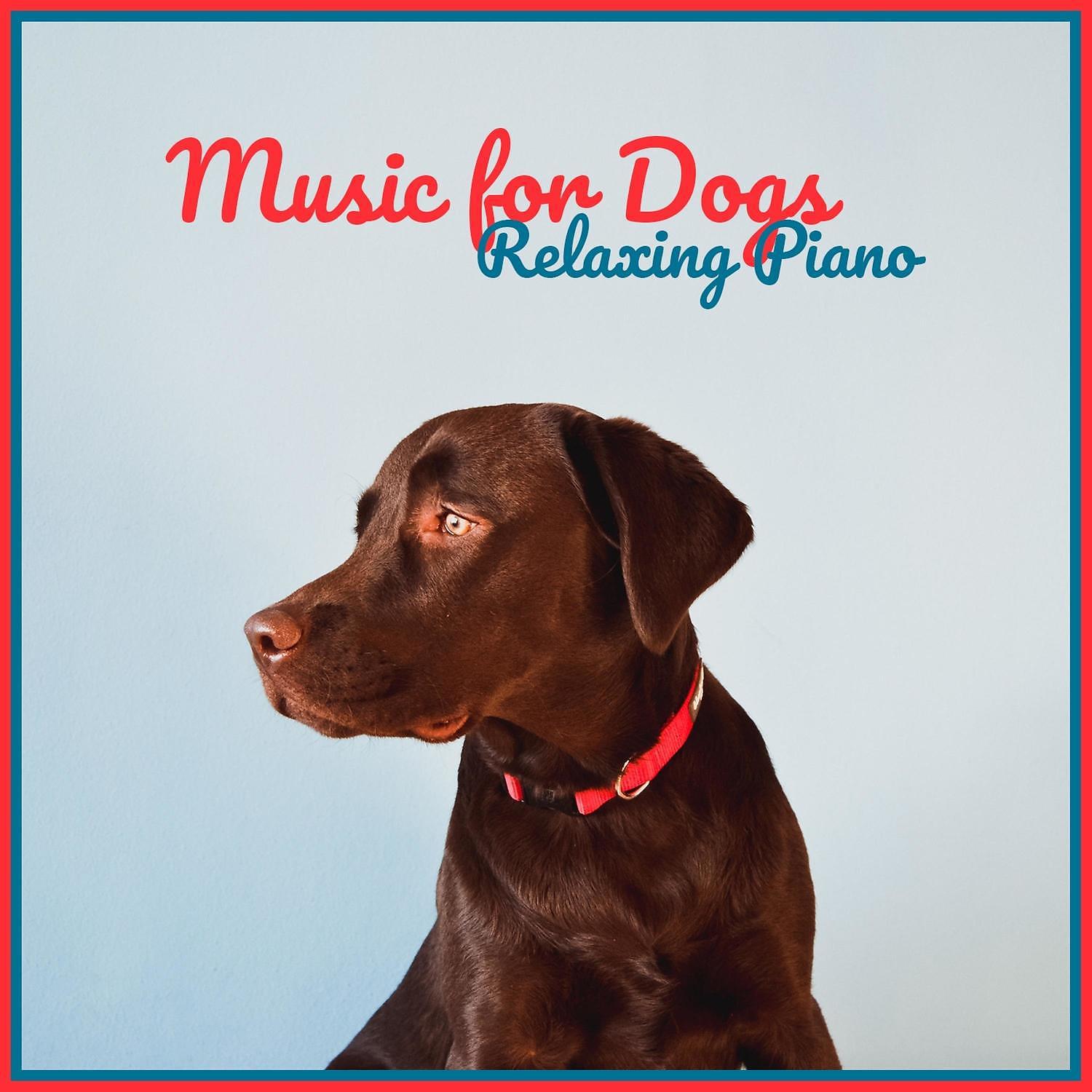 Постер альбома Music for Dogs – Relaxing Piano for Puppies, Stress Reduction While Away, Calmness and Relaxation