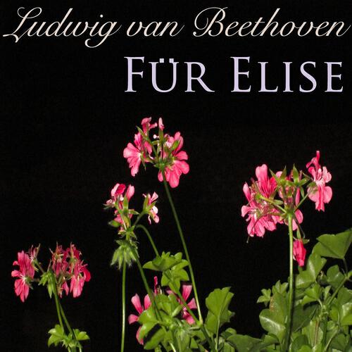 Arbogast Aden - Für Elise, WoO 59 (Entenvögel Vibraphon Version)