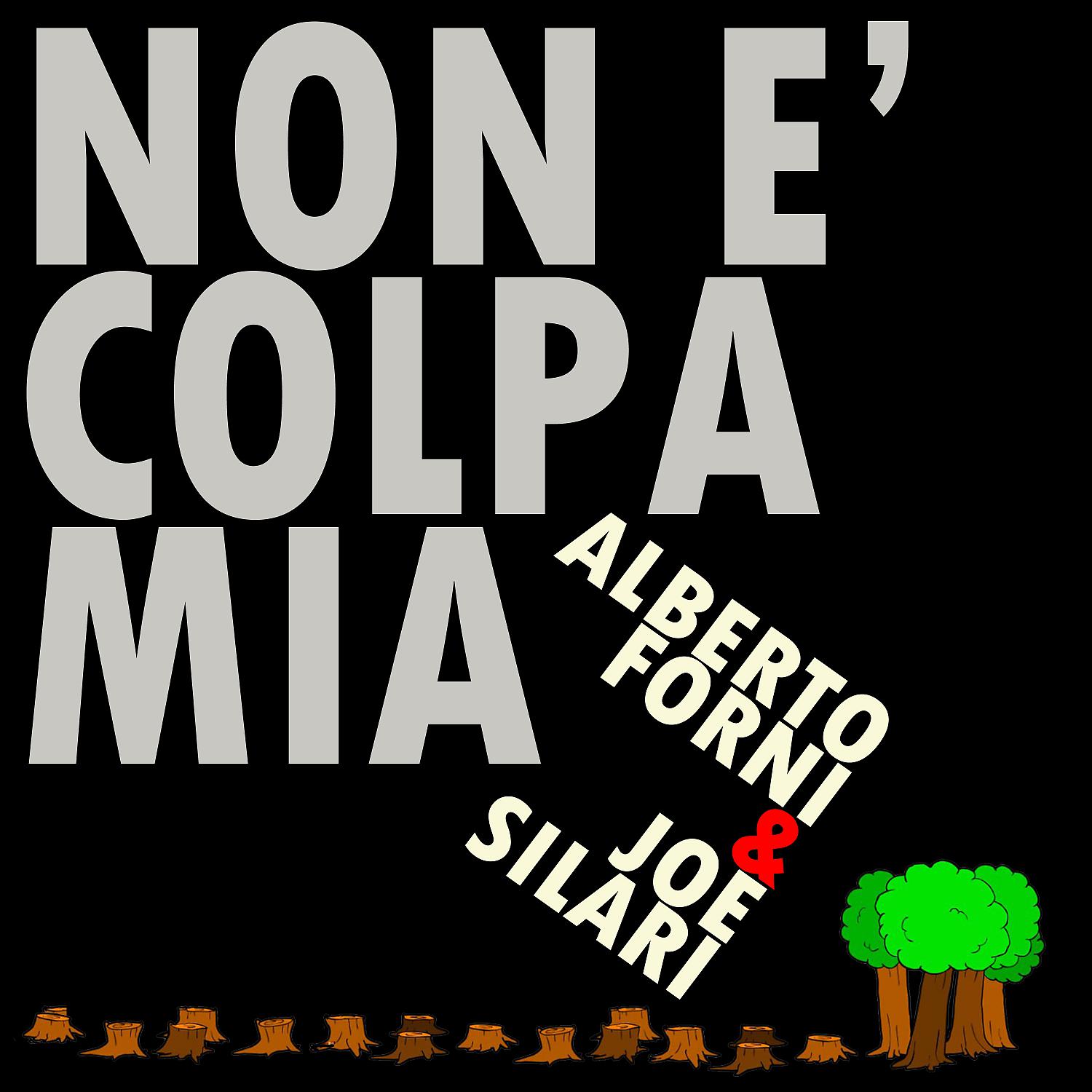 Постер альбома Non è colpa mia (feat. Joe Silari)