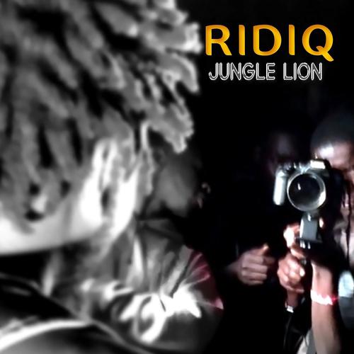 Постер альбома Jungle Lion