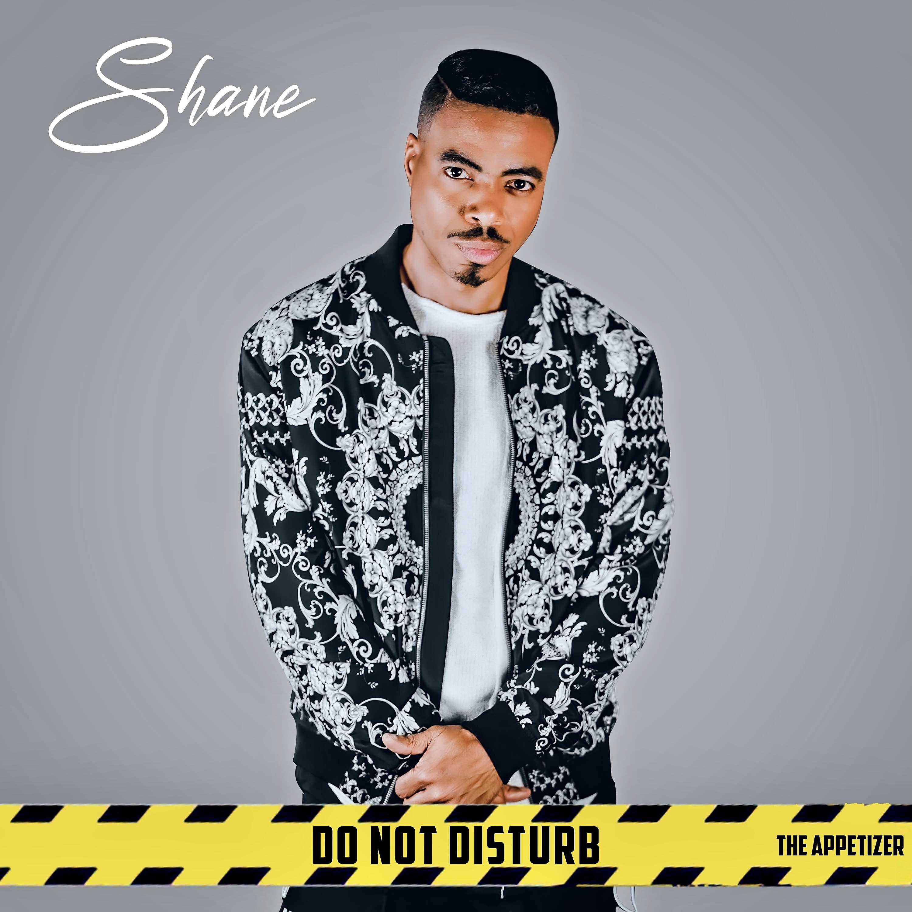 Shane - Falling in Love Remix (Money Zoe, Altrina Renee, Jelani)
