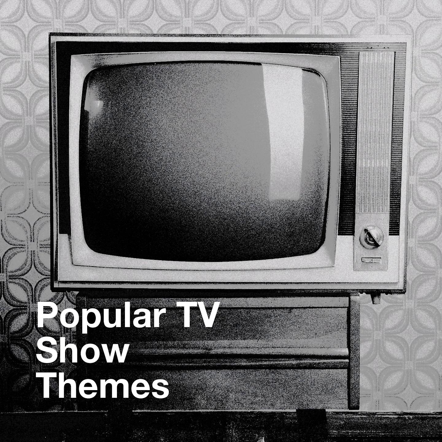 Постер альбома Popular TV Show Themes