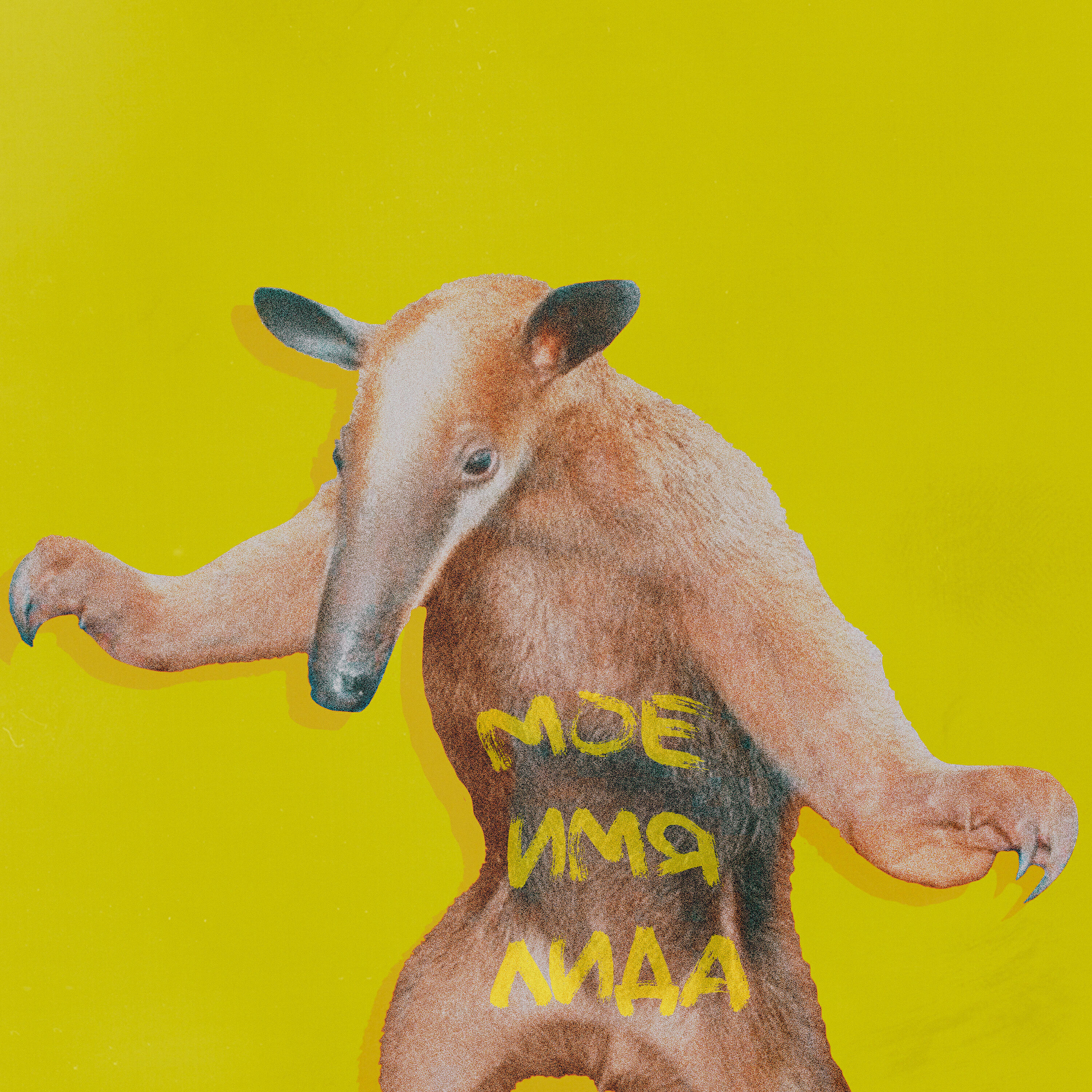 Lida - ФЭС