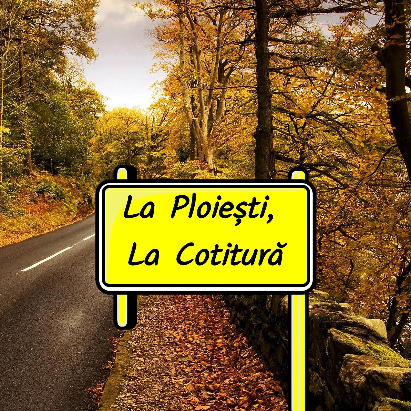 Постер альбома La Ploiești, La Cotitură