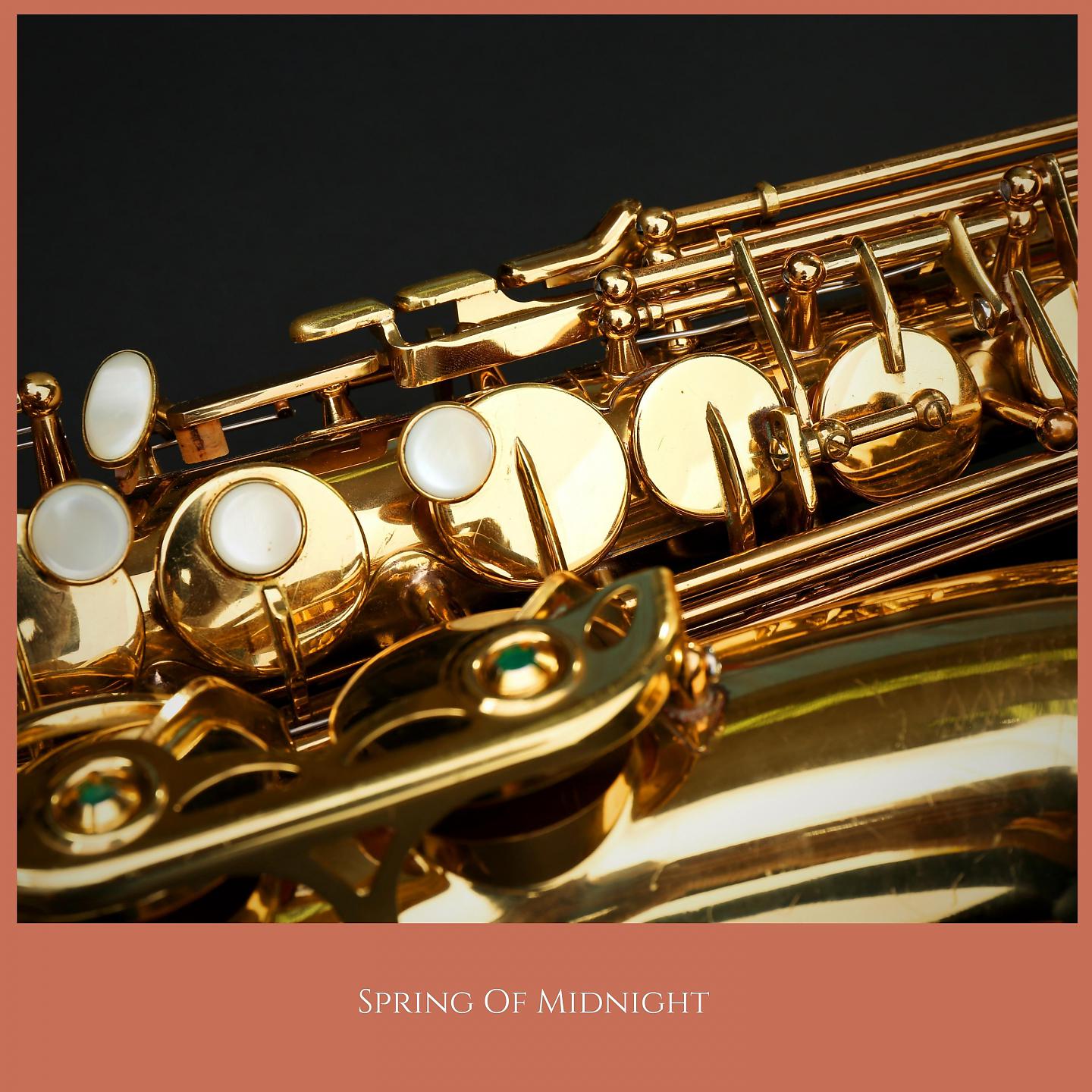 Постер альбома Spring Of Midnight