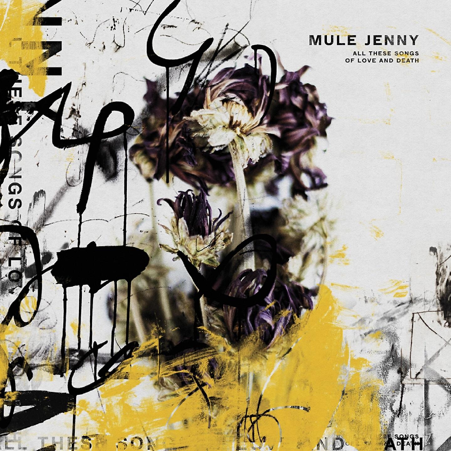 Mule Jenny - Sign Your Name on the Dotted Line