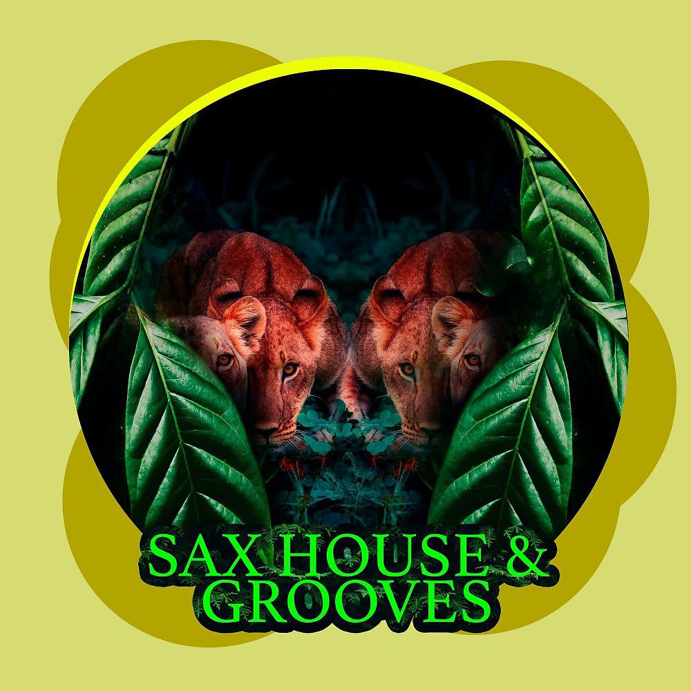 Постер альбома Sax House & Grooves