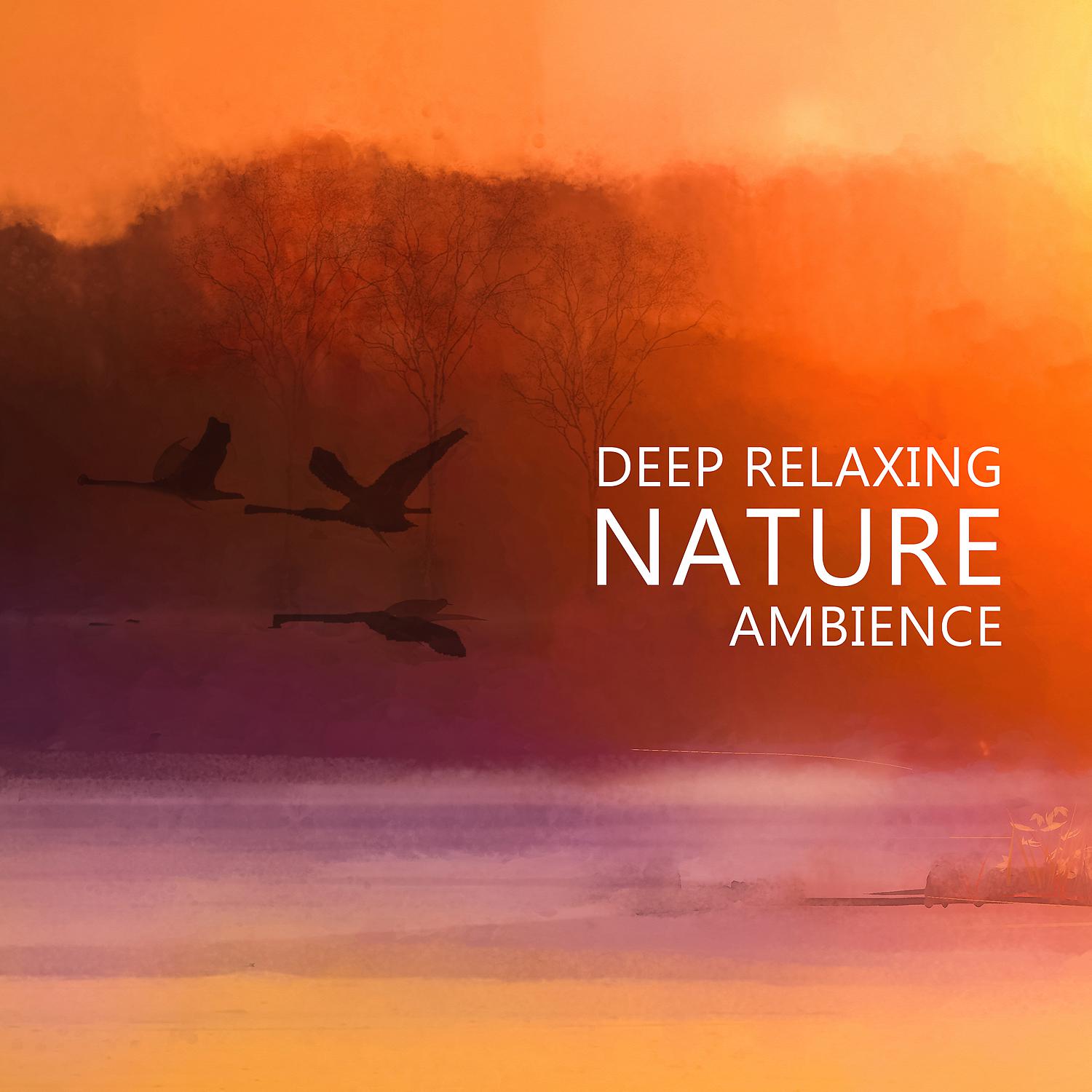 Постер альбома Deep Relaxing Nature Ambience - Relaxing River Sounds, Gentle Ocean Waves, Nature Sounds, Rain, Forest, Singing Birds Ambience (Music for Meditation & Sleep)