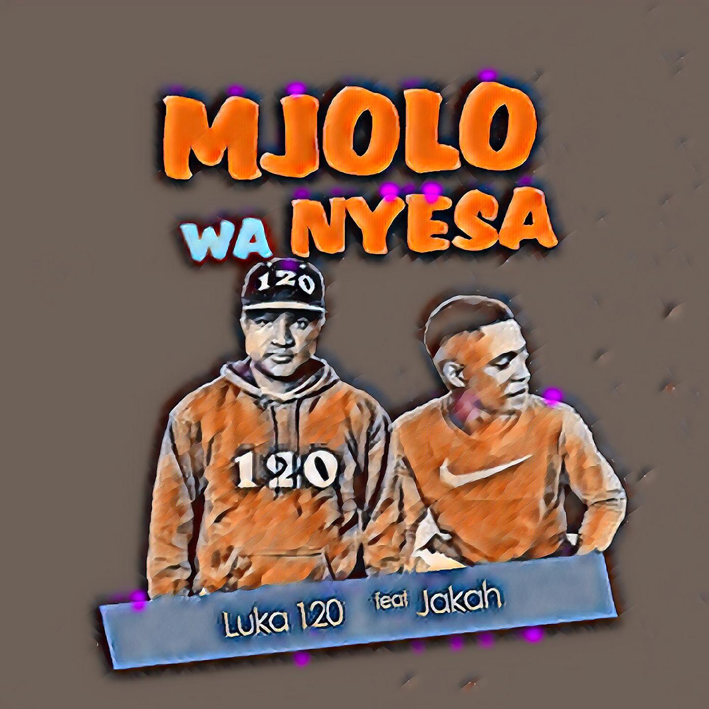 Постер альбома Mjolo Wa Nyisa