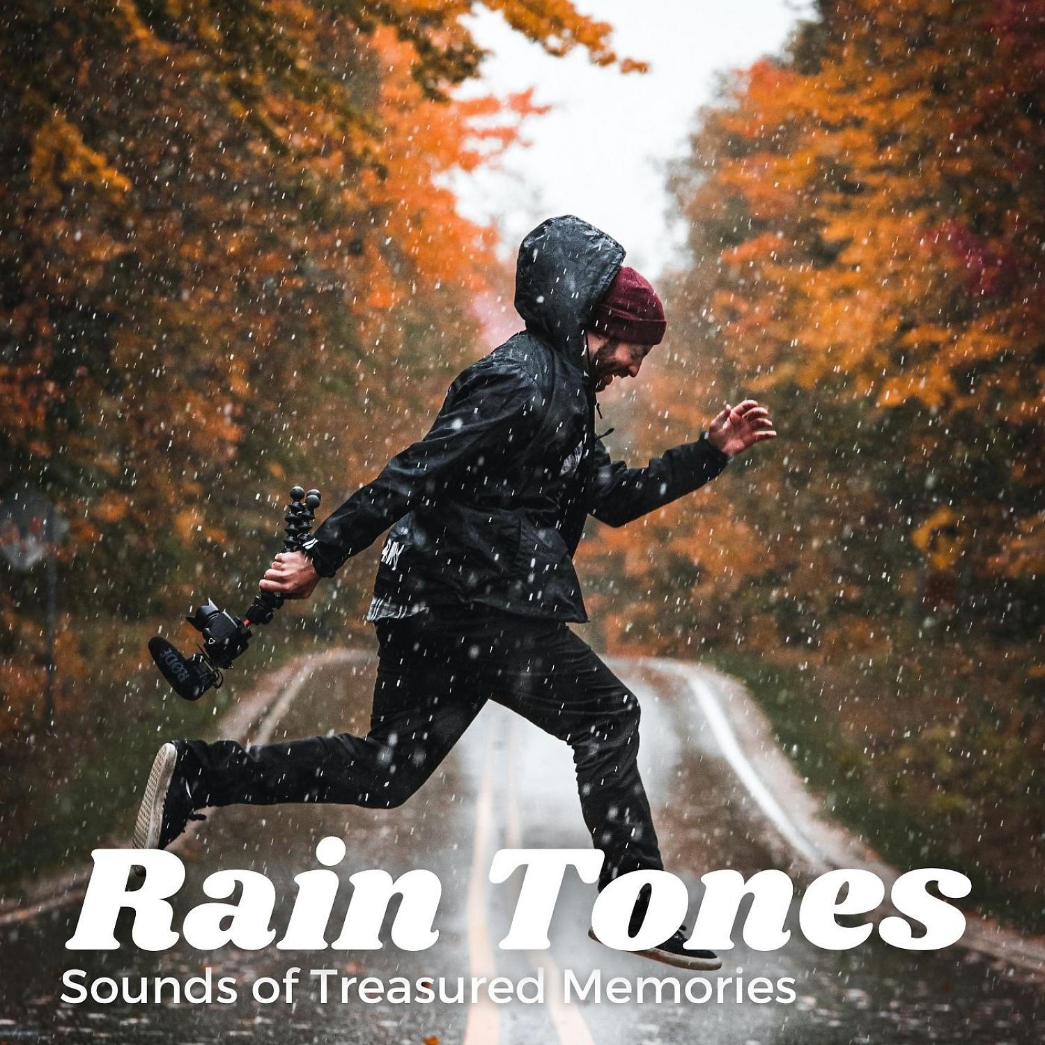 Постер альбома Rain Tones: Sounds of Treasured Memories