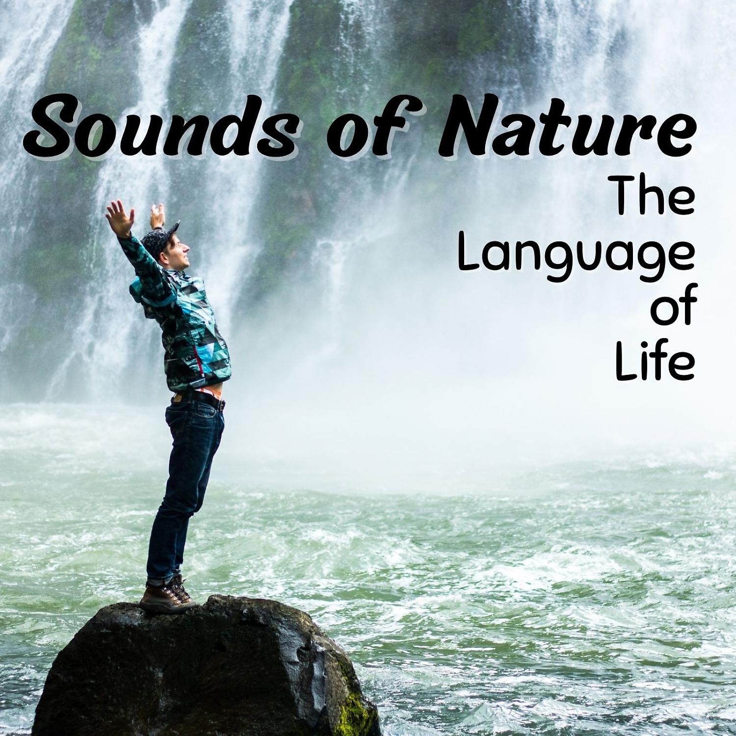 Постер альбома Sounds of Nature: The Language of Life