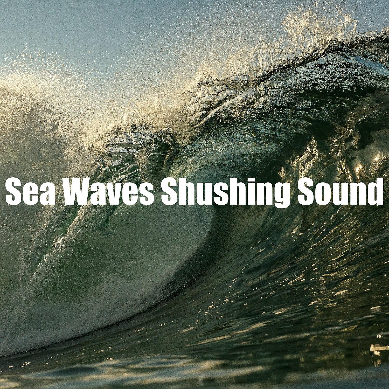 Постер альбома Sea Waves Shushing Sound