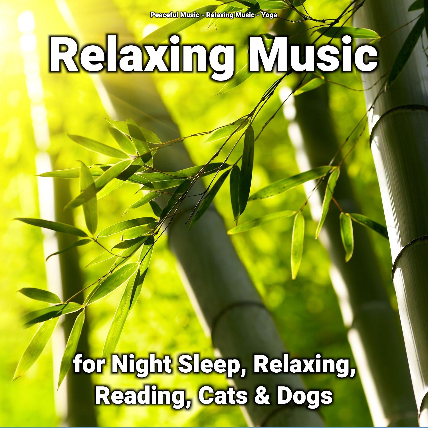 Постер альбома Relaxing Music for Night Sleep, Relaxing, Reading, Cats & Dogs