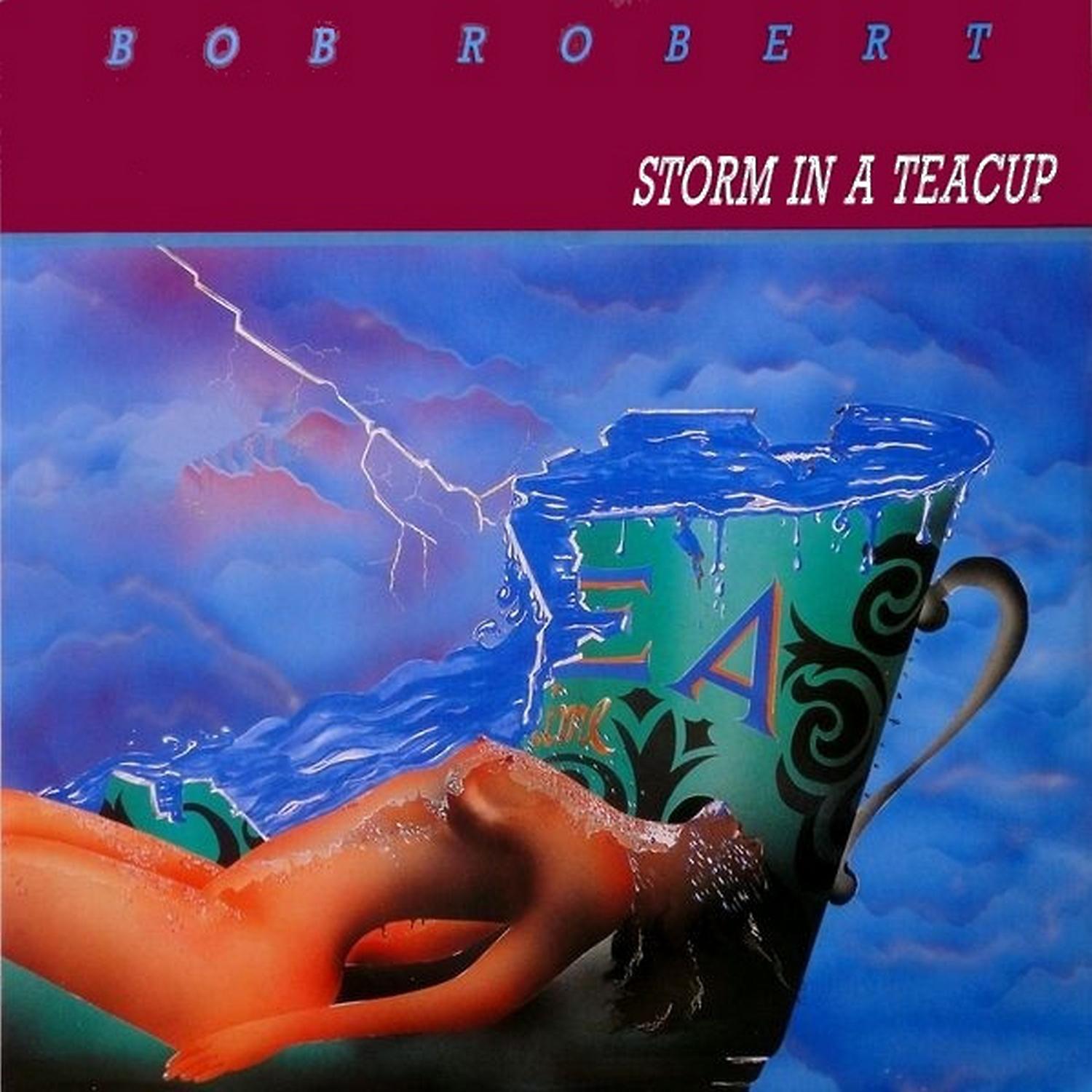 Постер альбома Storm in a Teacup (Italo Disco)