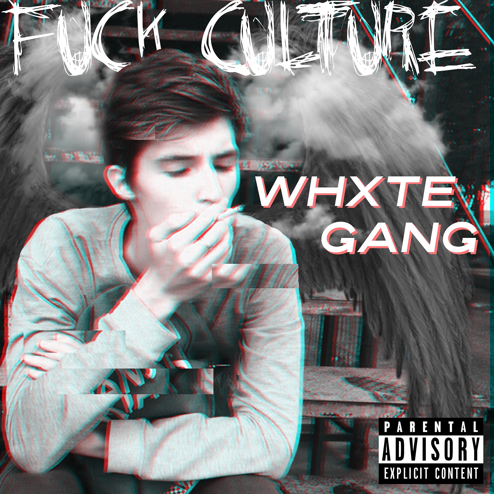 Постер альбома Fuck Culture