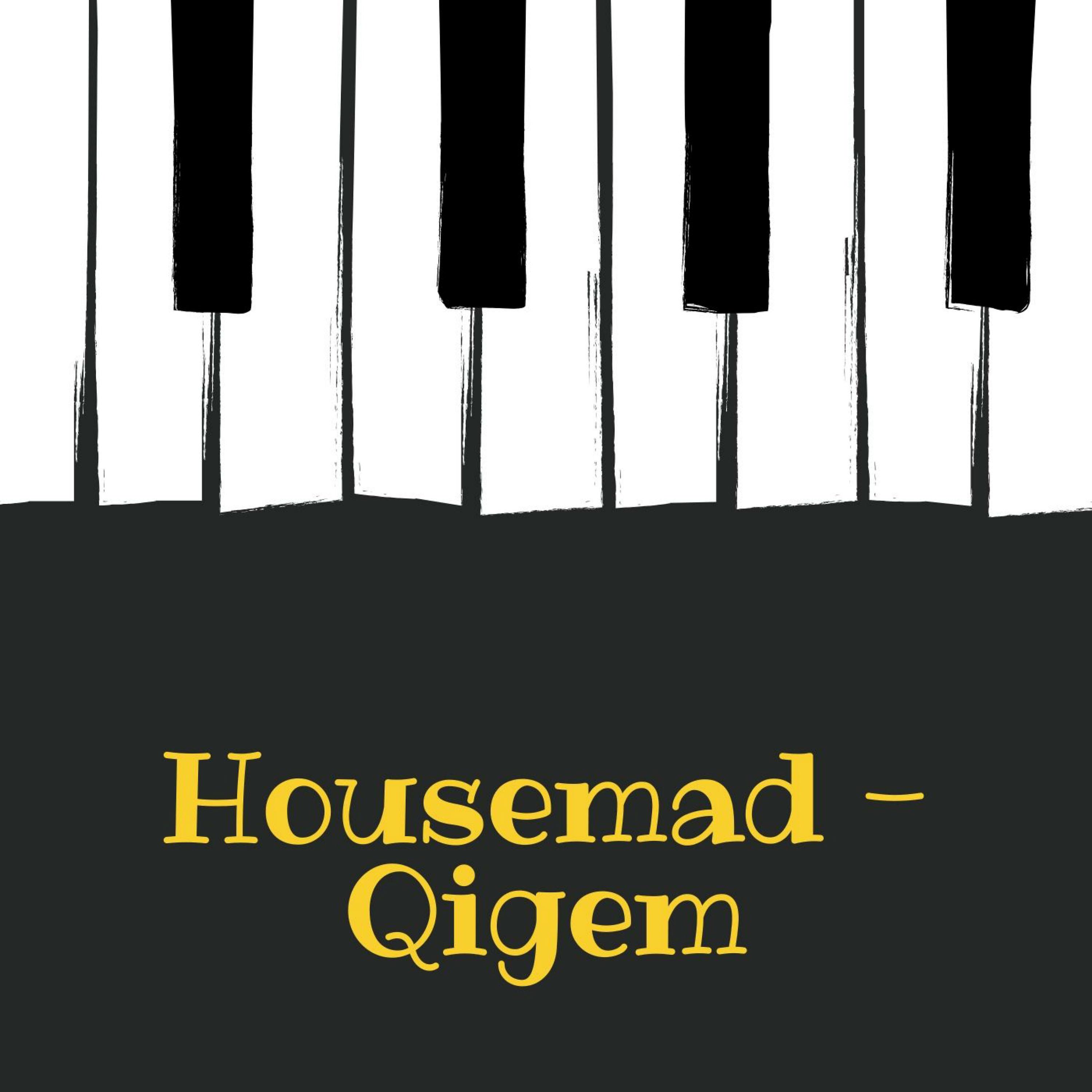 Постер альбома Qigem