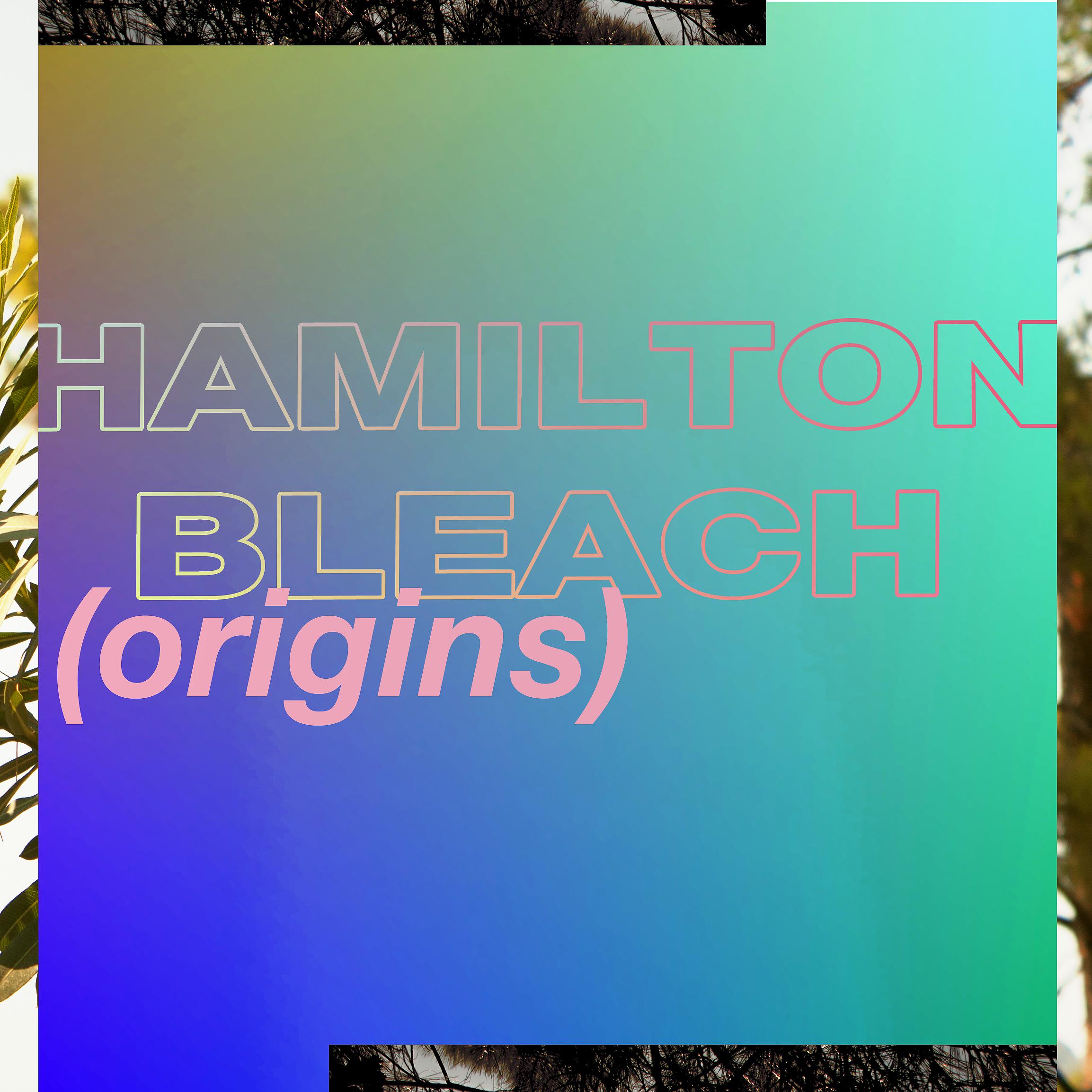 Постер альбома Hamilton Bleach (Origins)