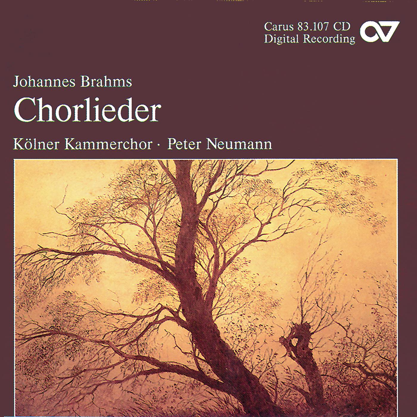 Постер альбома Brahms: Chorlieder
