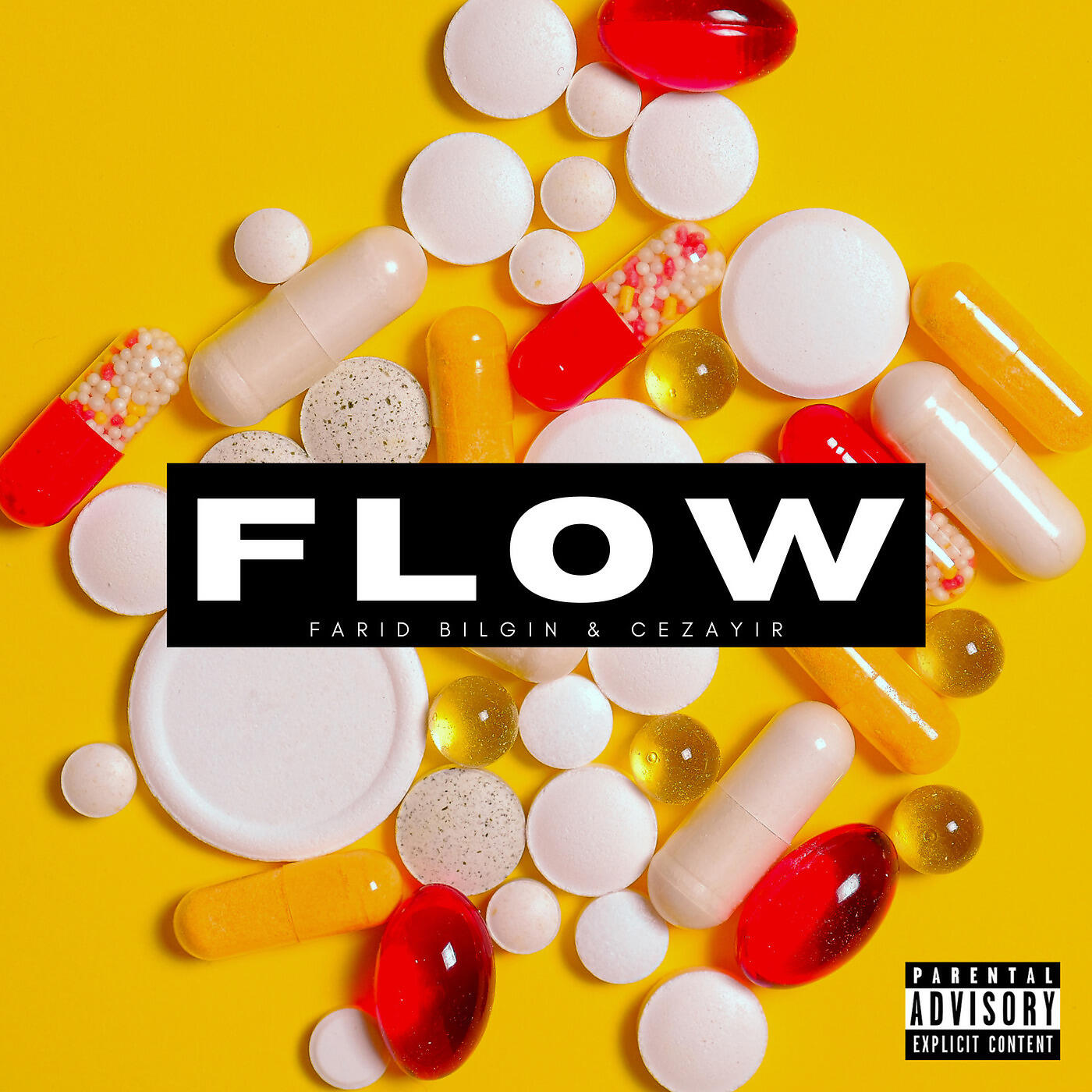 Farid Bilgin - Flow