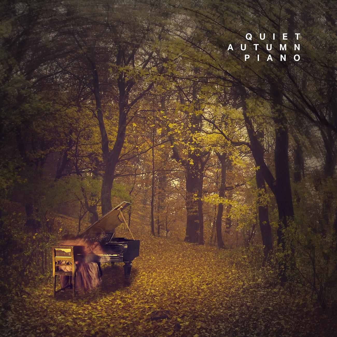 Постер альбома Quiet Autumn Piano