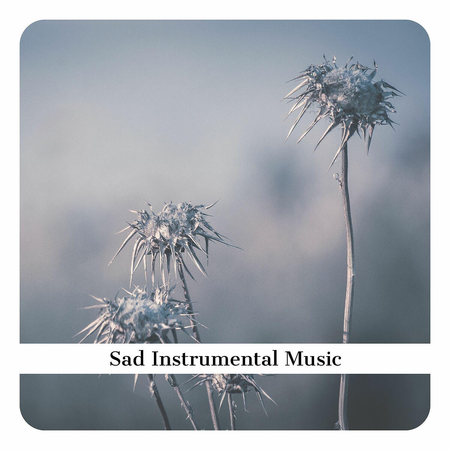 Постер альбома Sad Instrumental Music (Piano, Violin)