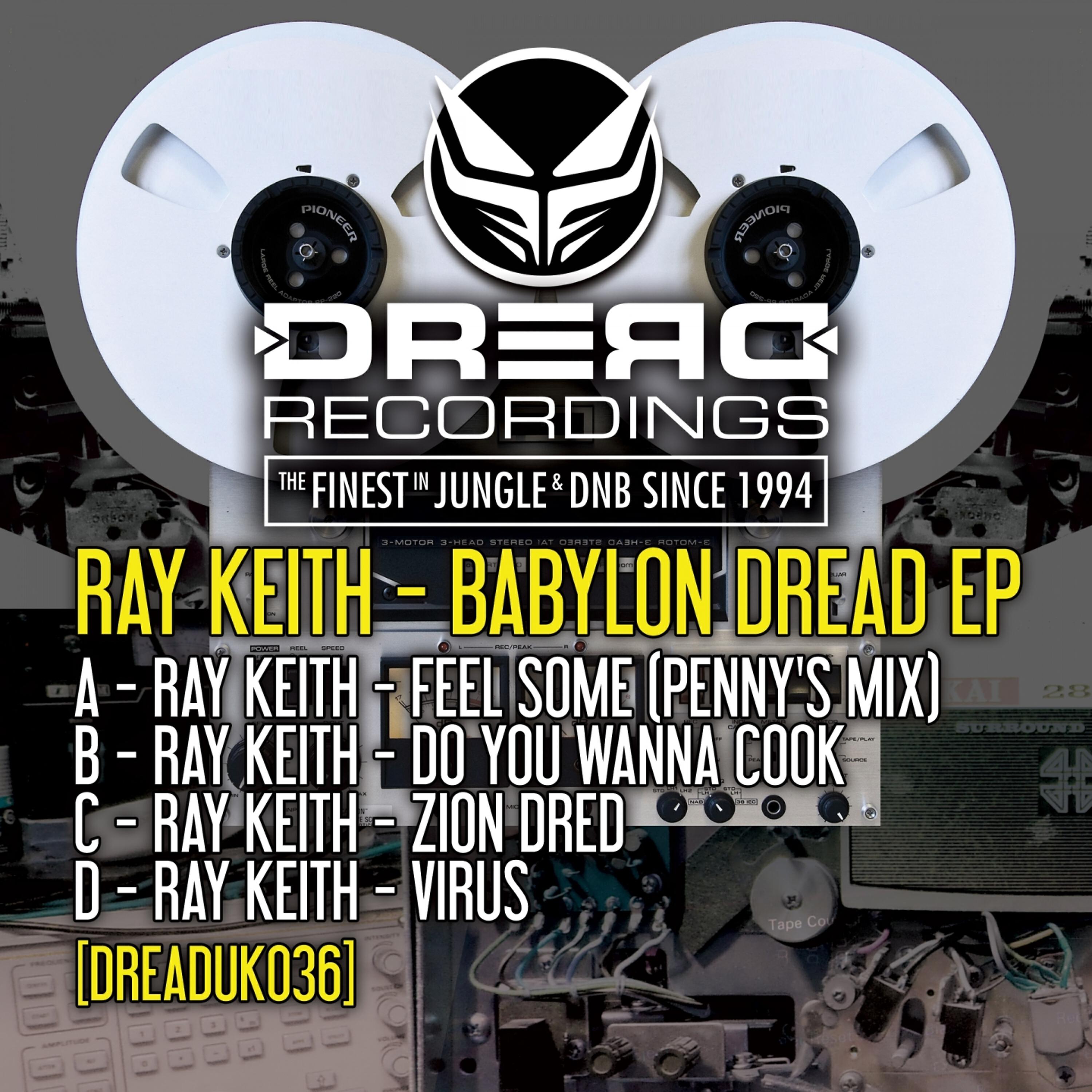 Ray Keith - Do You Wanna Cook?