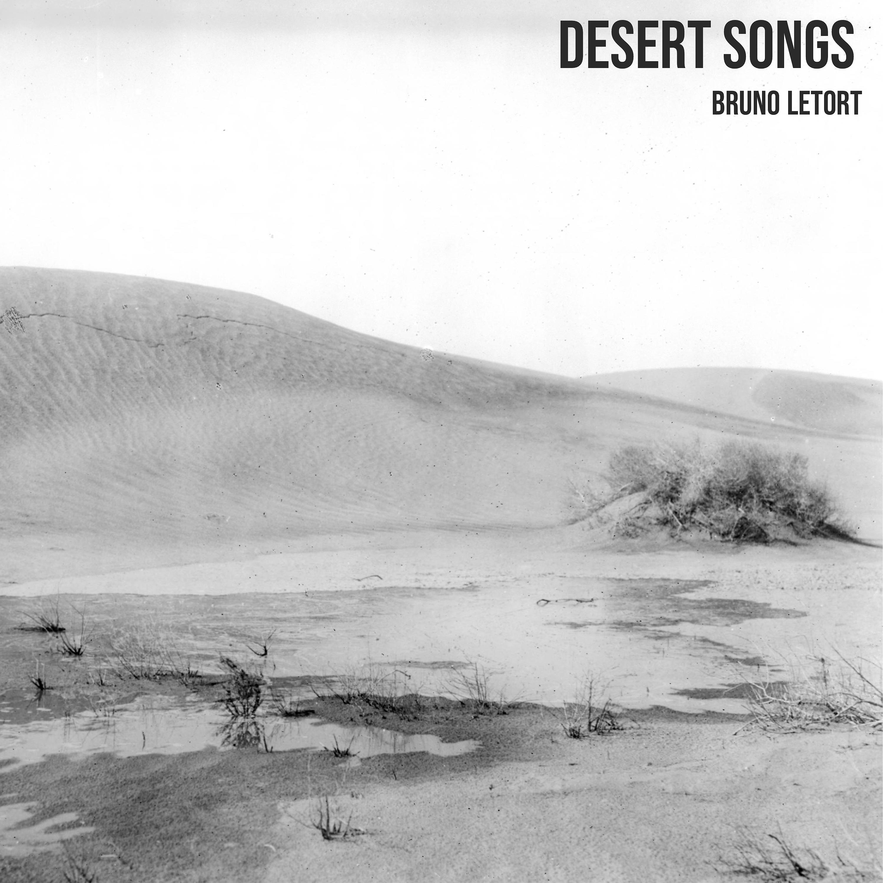 Постер альбома Desert Songs