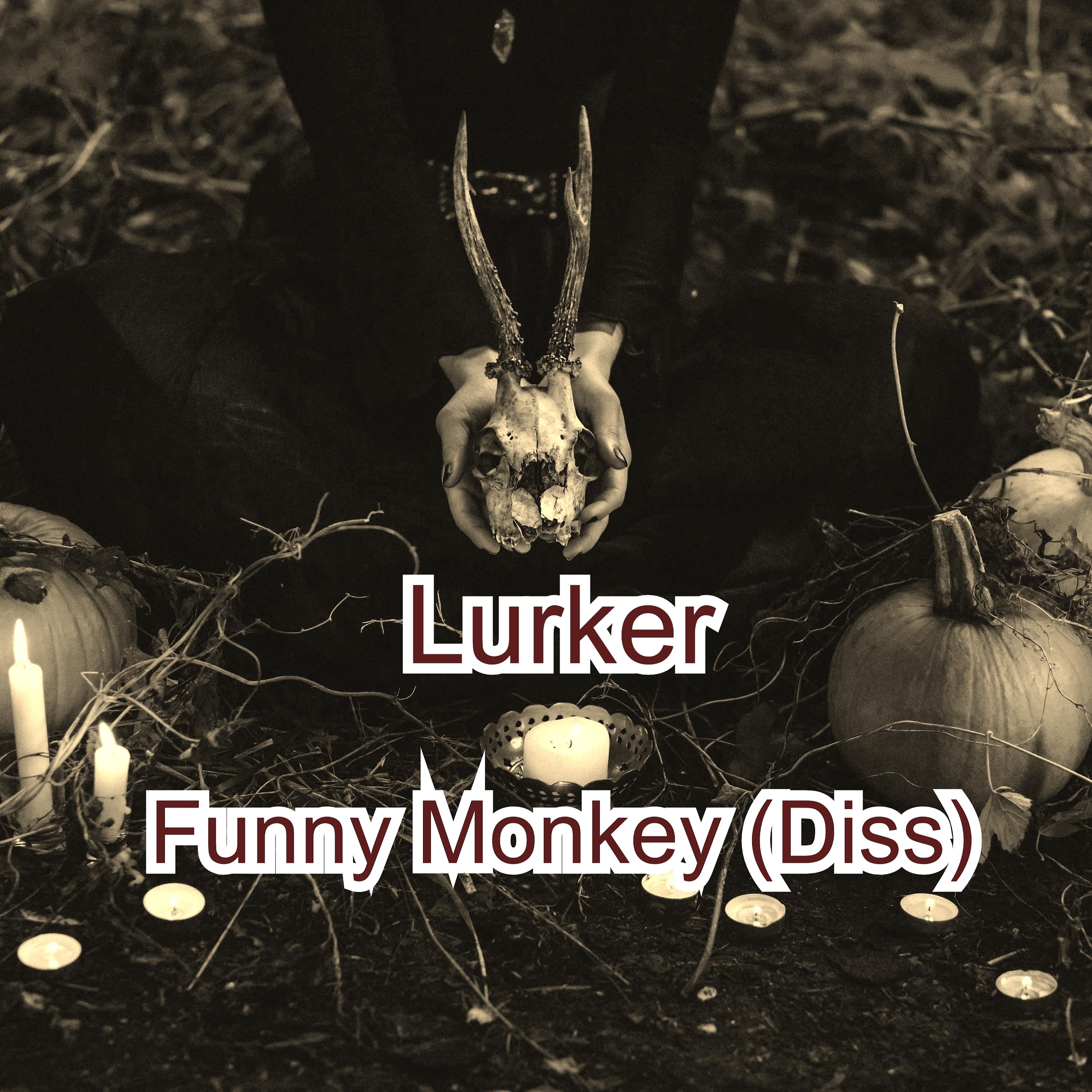 Постер альбома Funny Monkey (Diss)