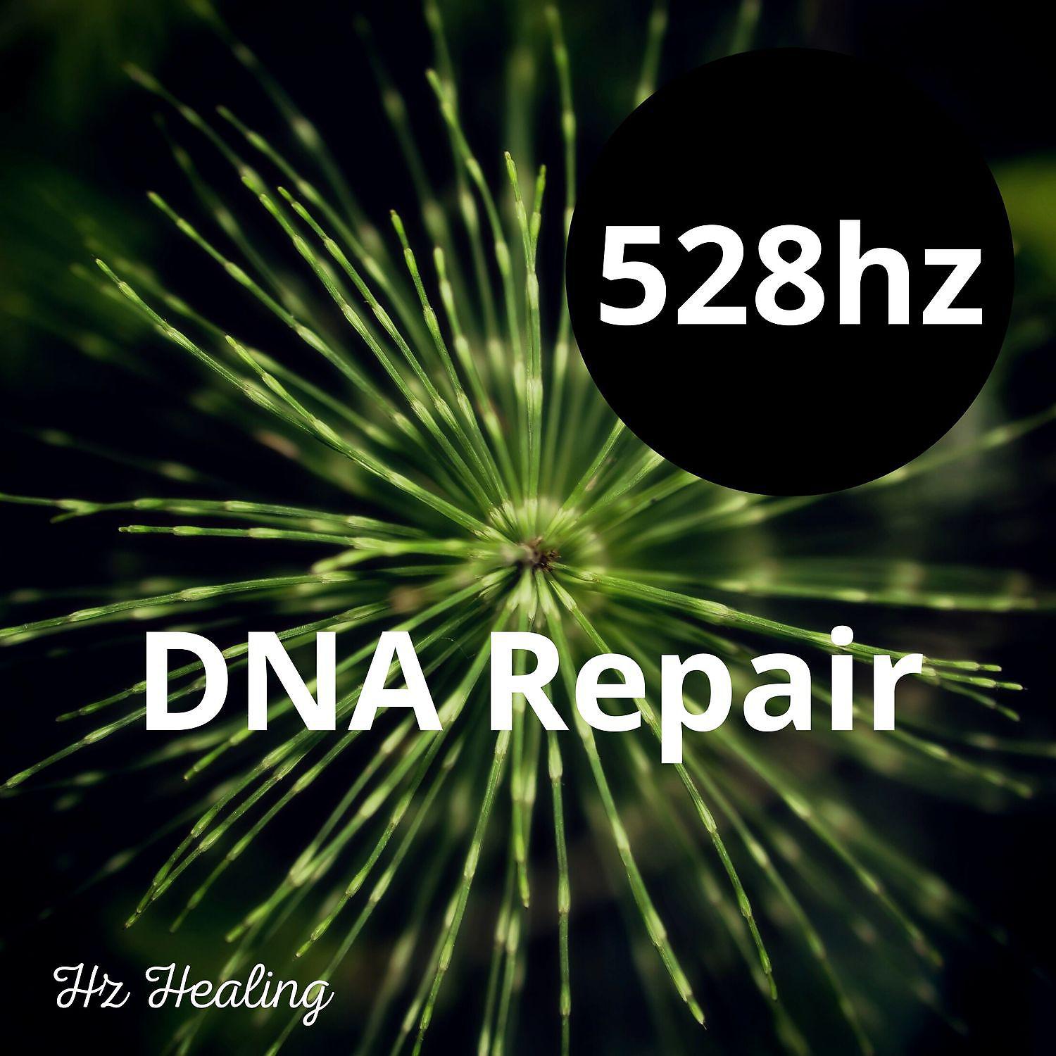 Постер альбома 528hz DNA Repair