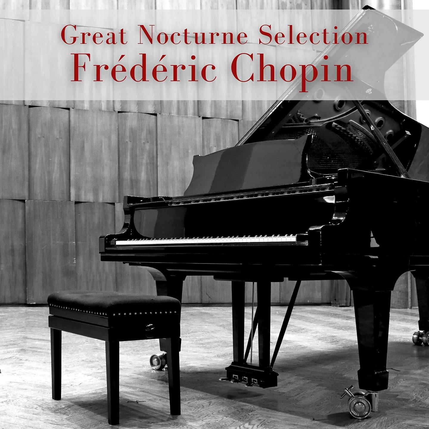 Постер альбома Great Nocturne Selection