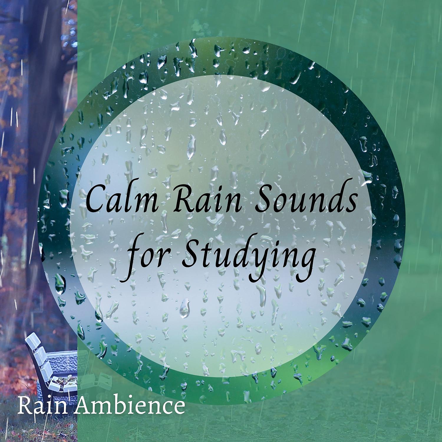 Постер альбома Rain Ambience: Calm Rain Sounds for Studying