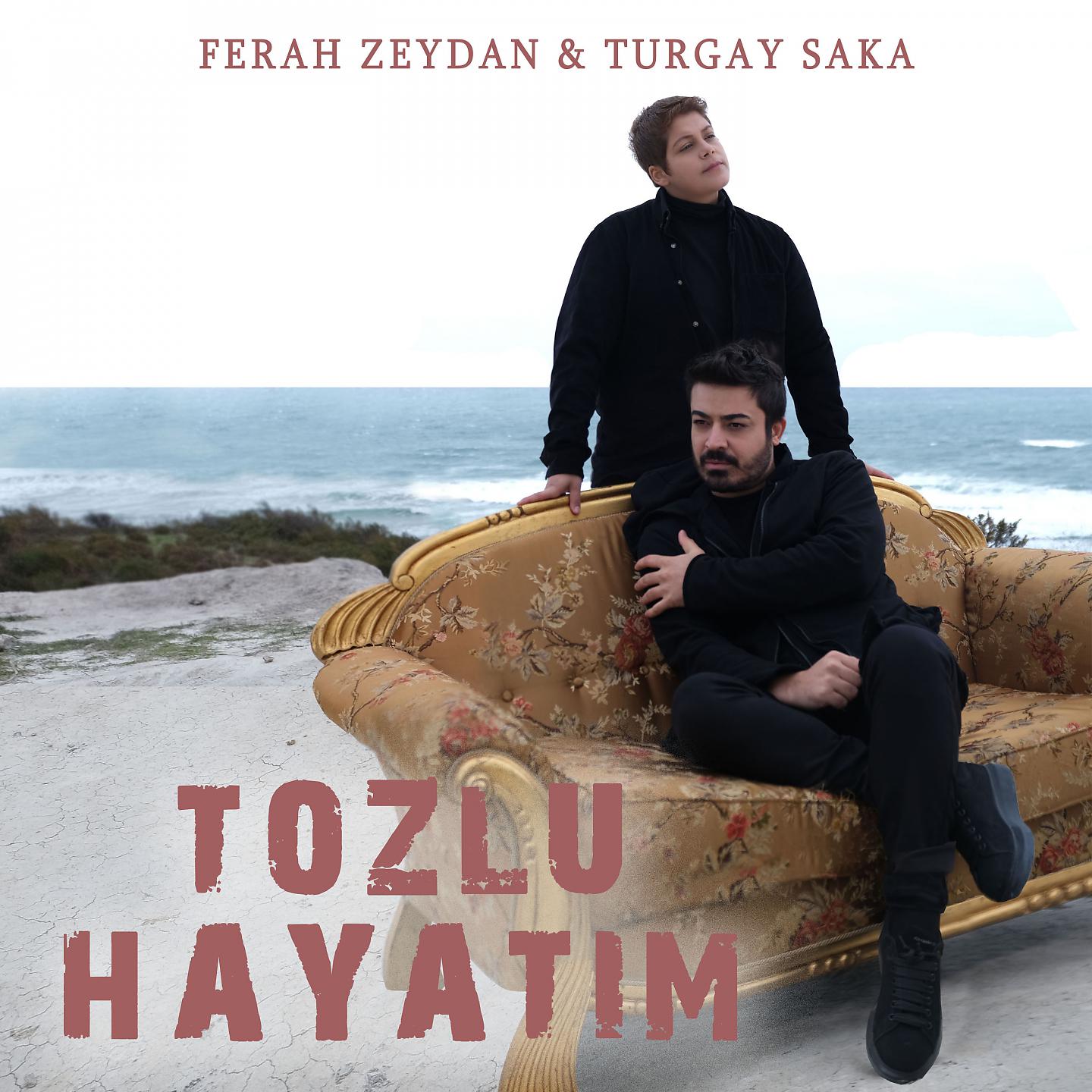 Постер альбома Tozlu Hayatım
