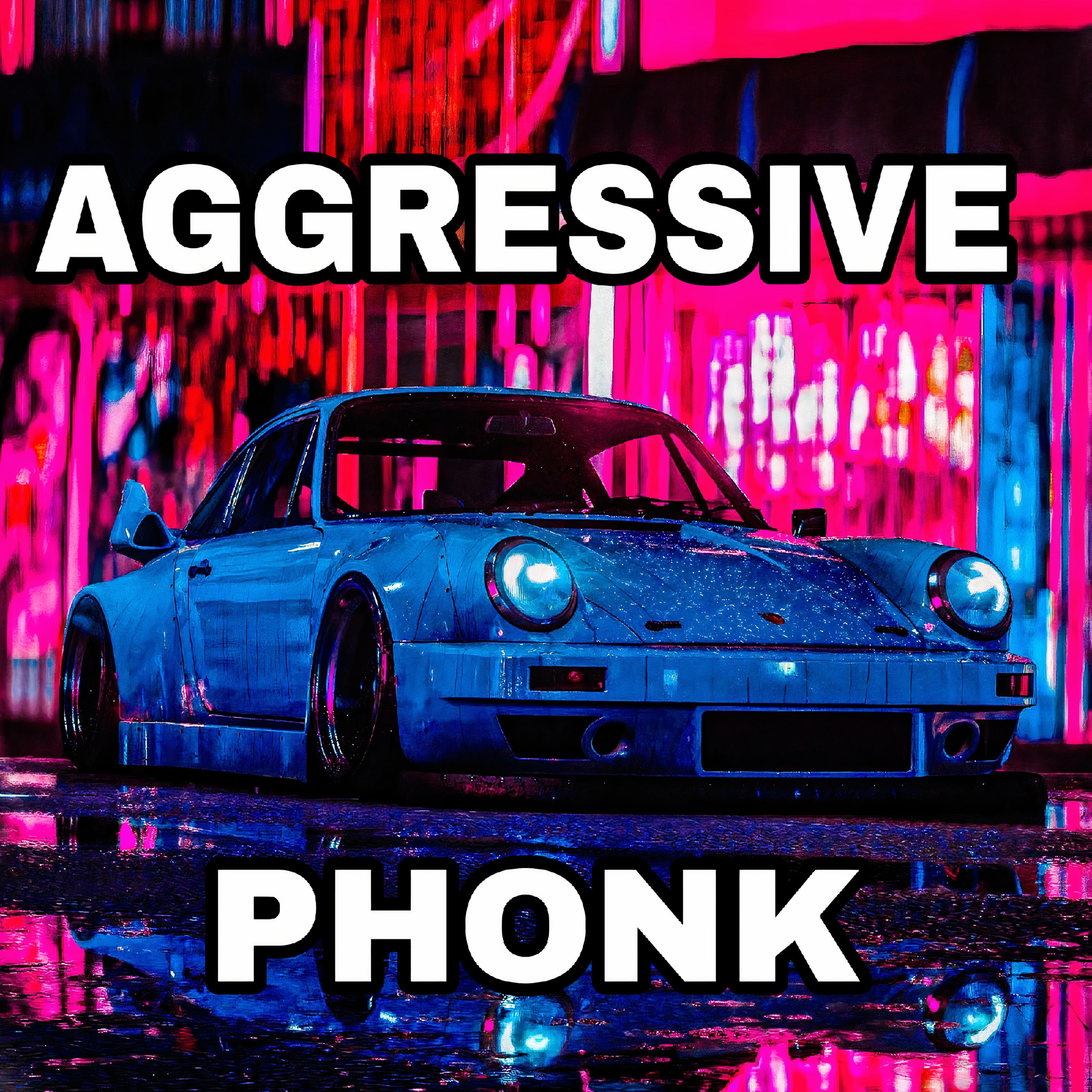 Постер альбома Aggressive Phonk