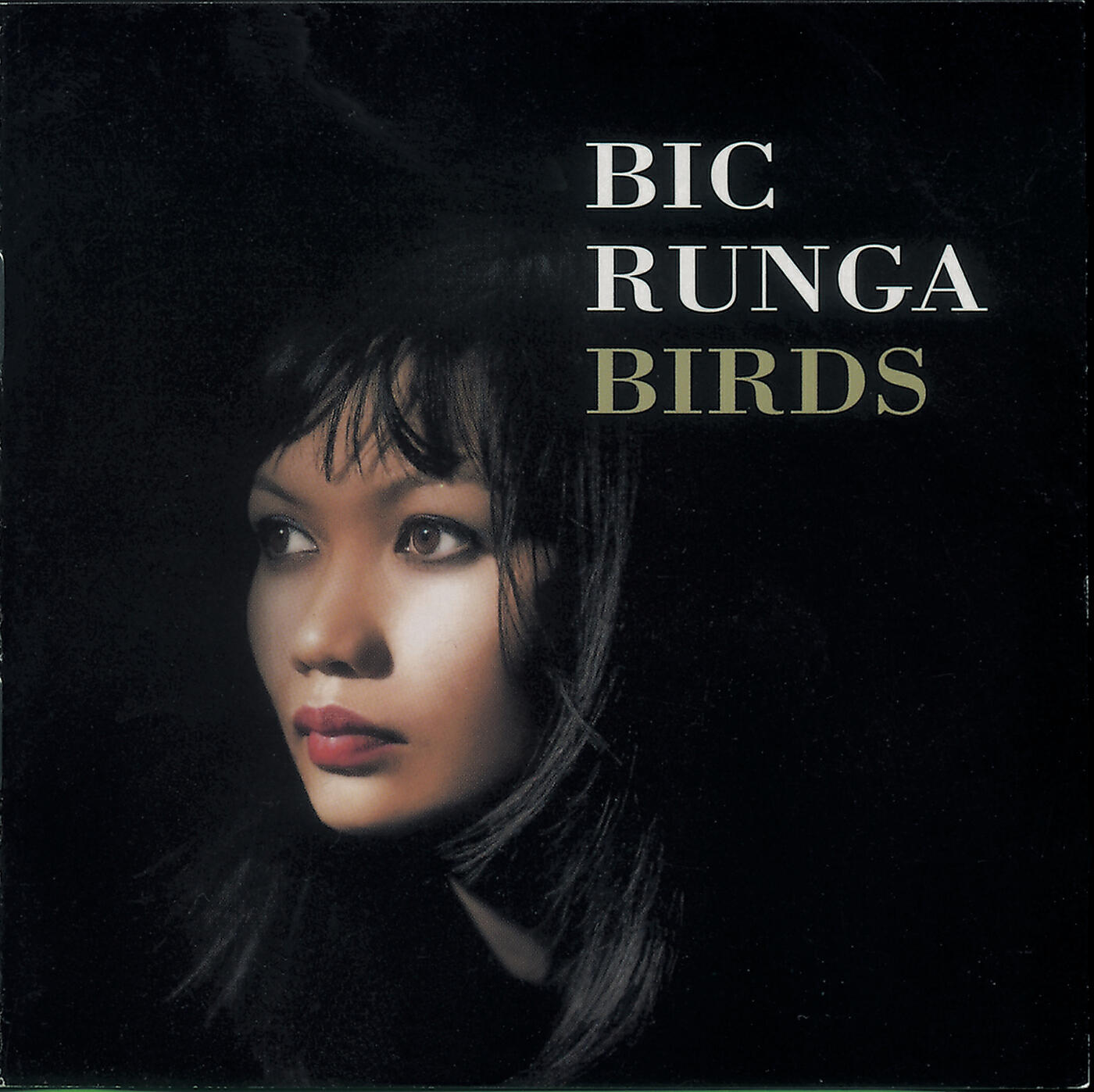 Bic Runga - If I Had You