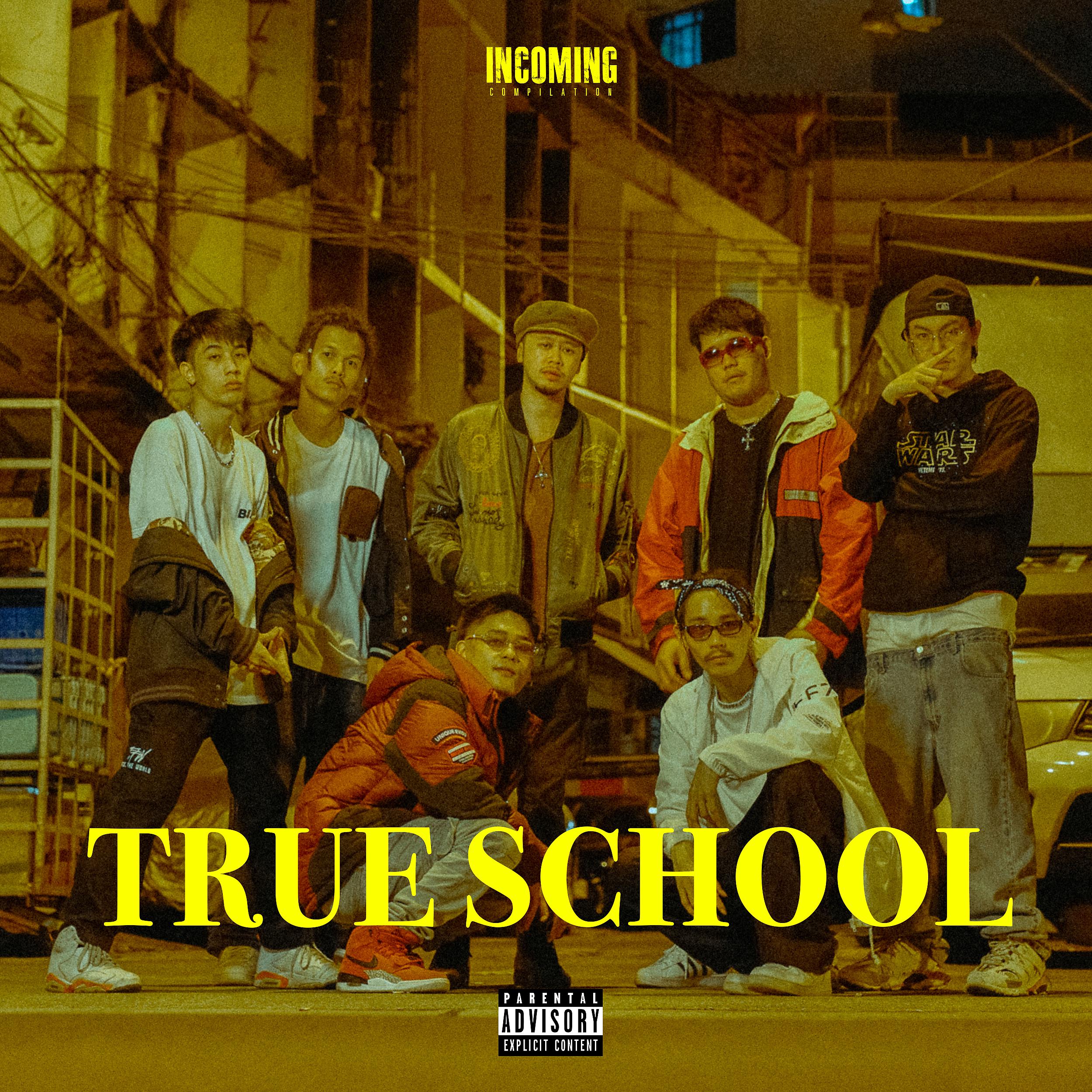 Постер альбома True School