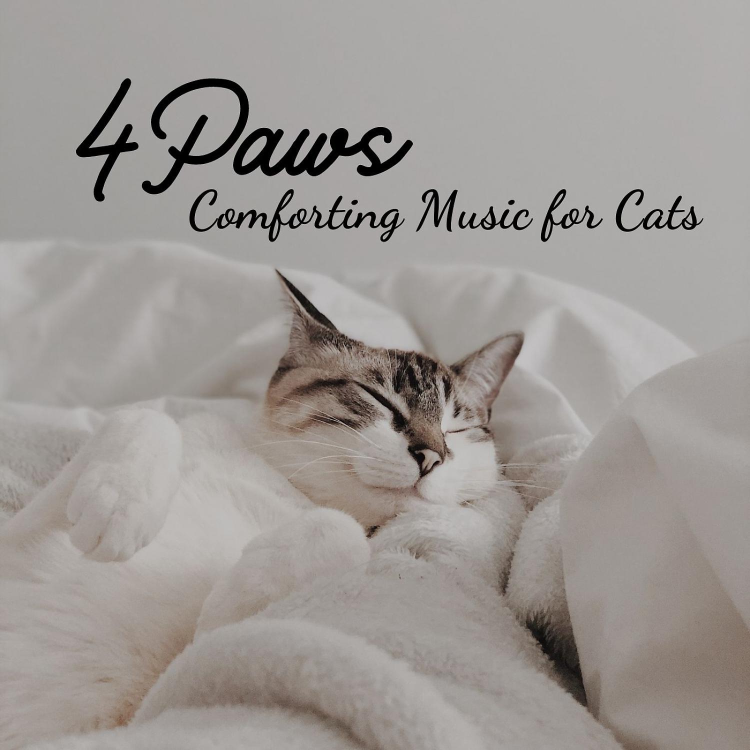 Постер альбома 4Paws: Comforting Music for Cats