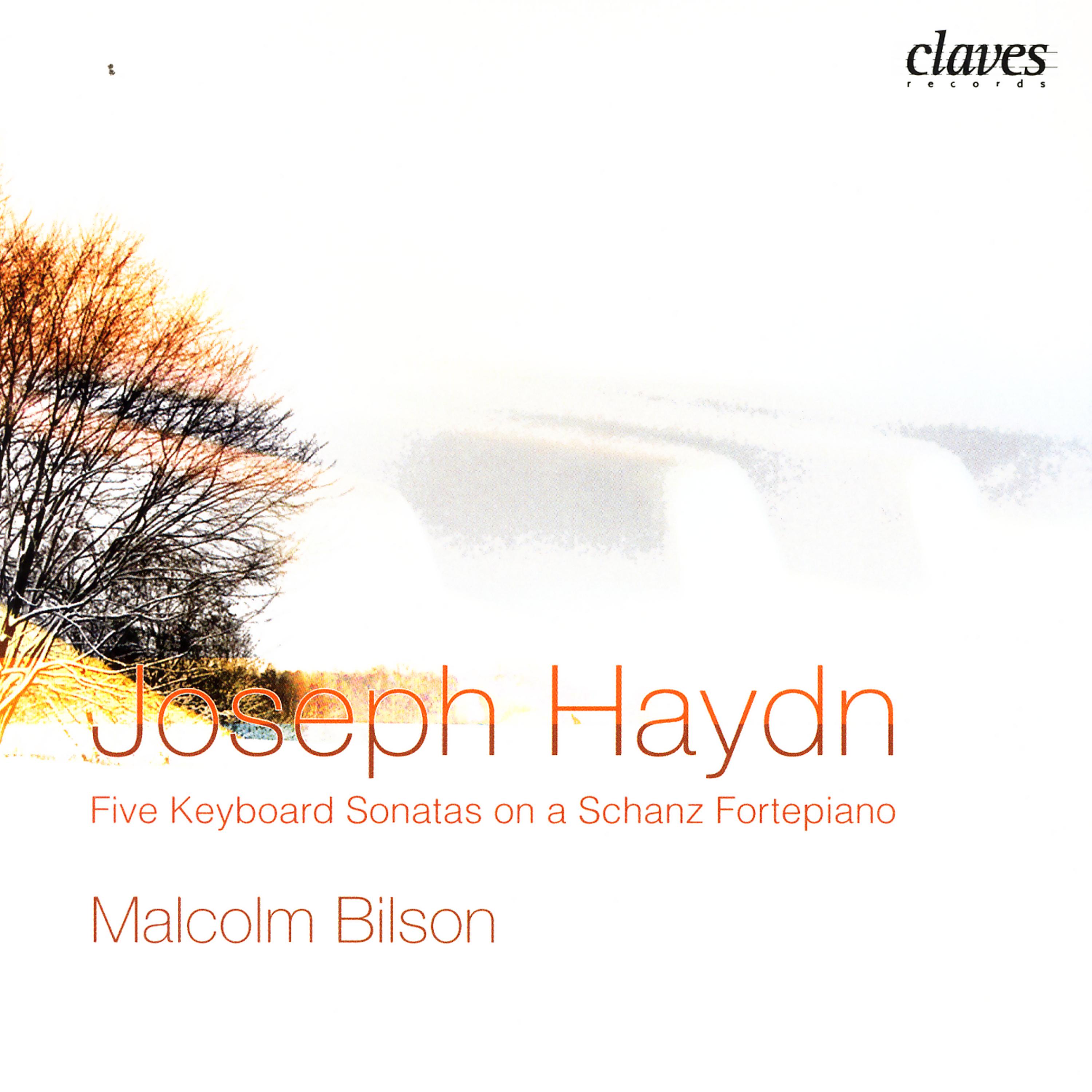 Постер альбома J. Haydn: Five Keyboard Sonatas on a Schanz Fortepiano