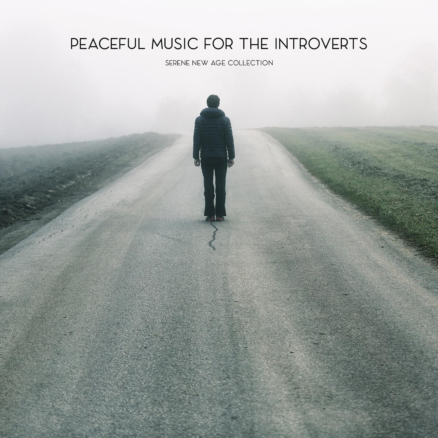 Постер альбома Peaceful Music for the Introverts: Serene New Age Collection for Relaxing Alone and Being with Yourself