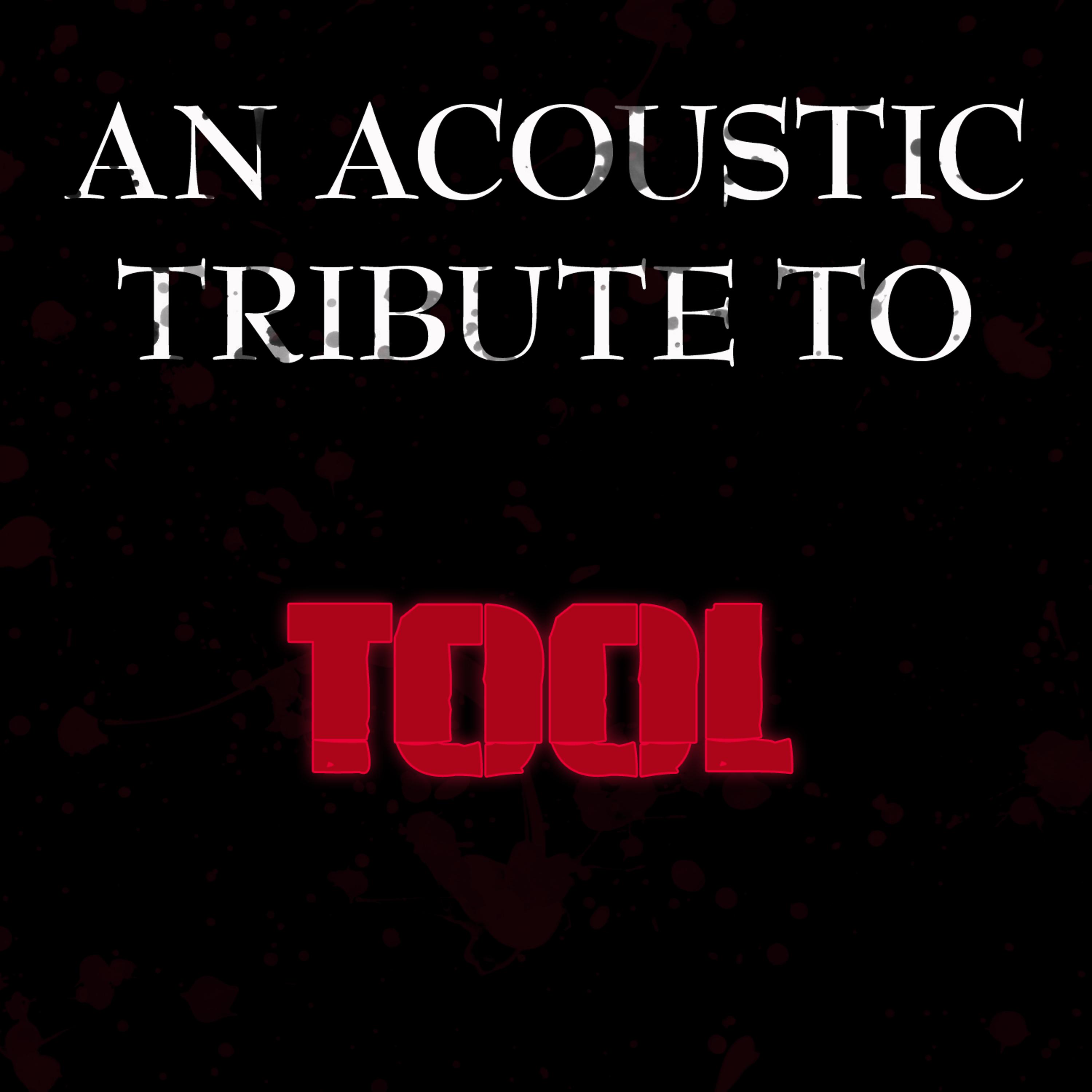 Постер альбома An Acoustic Tribute to Tool