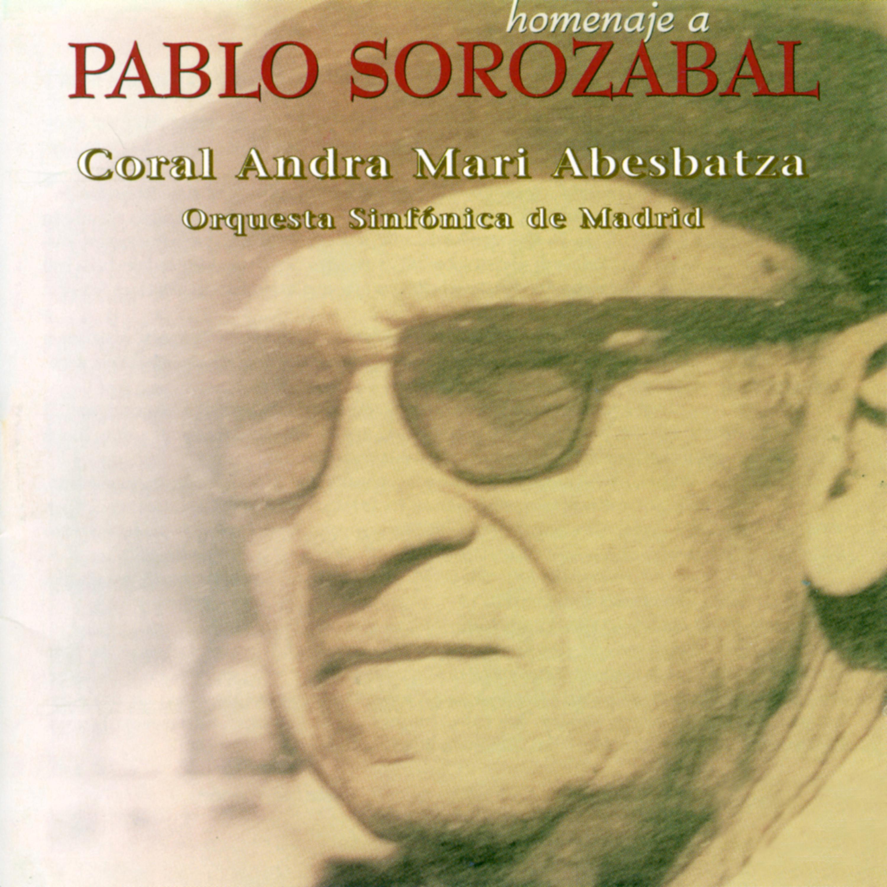 Постер альбома Homenaje a Pablo Sorozabal