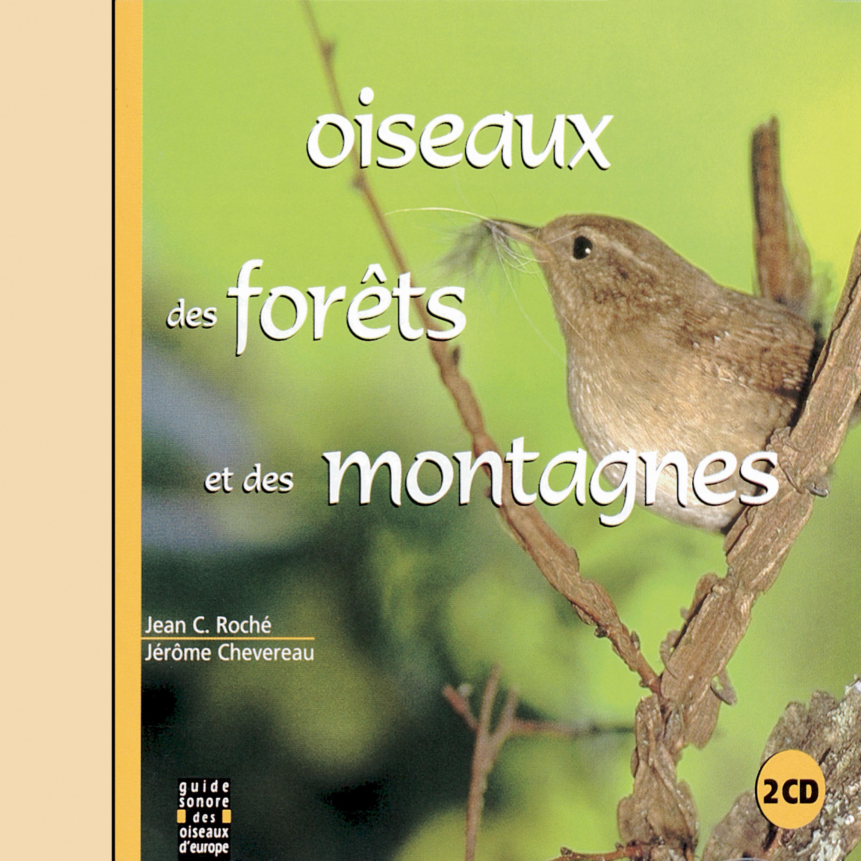 Постер альбома Oiseaux Des Forêts Et Des Montagnes