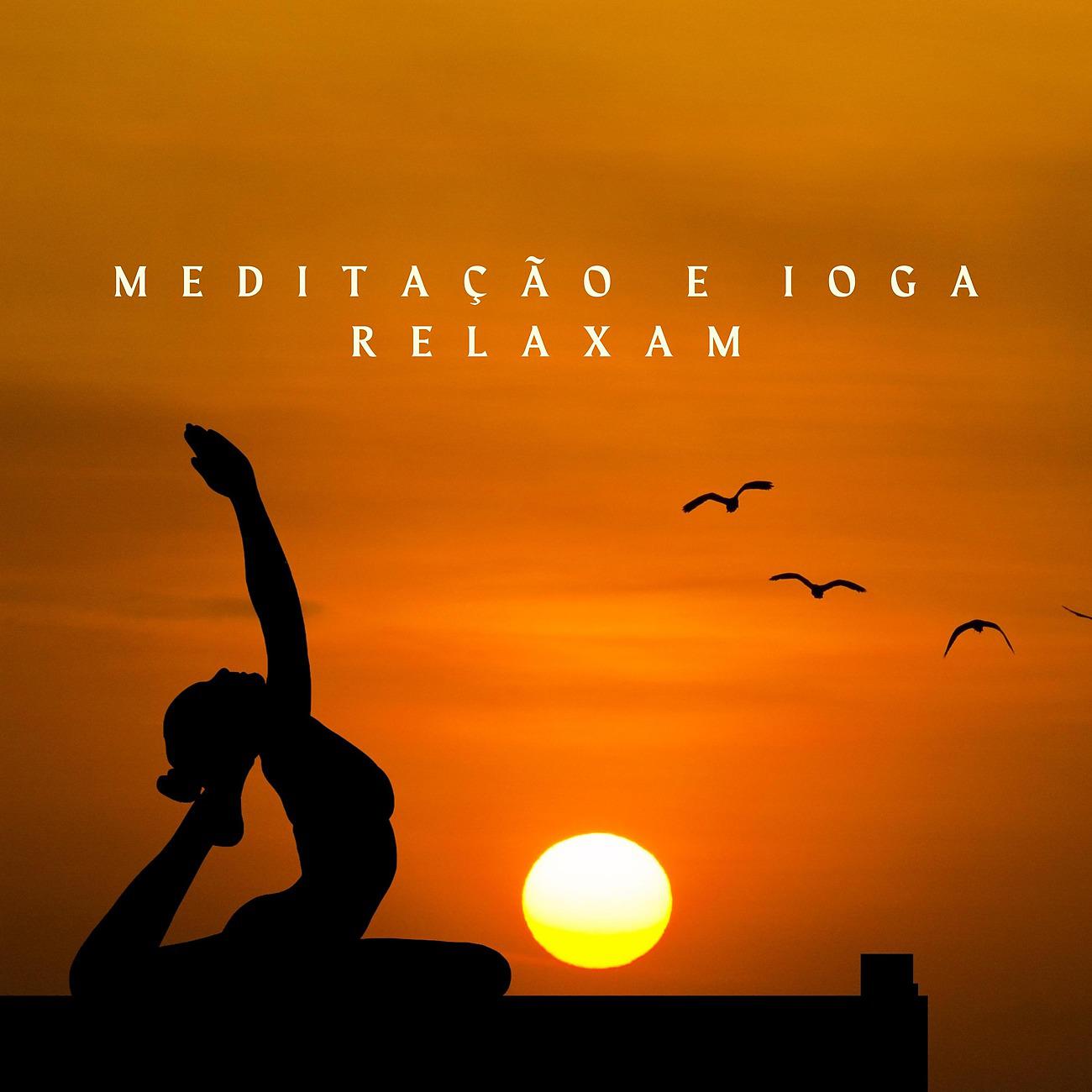 Постер альбома Meditação e ioga relaxam