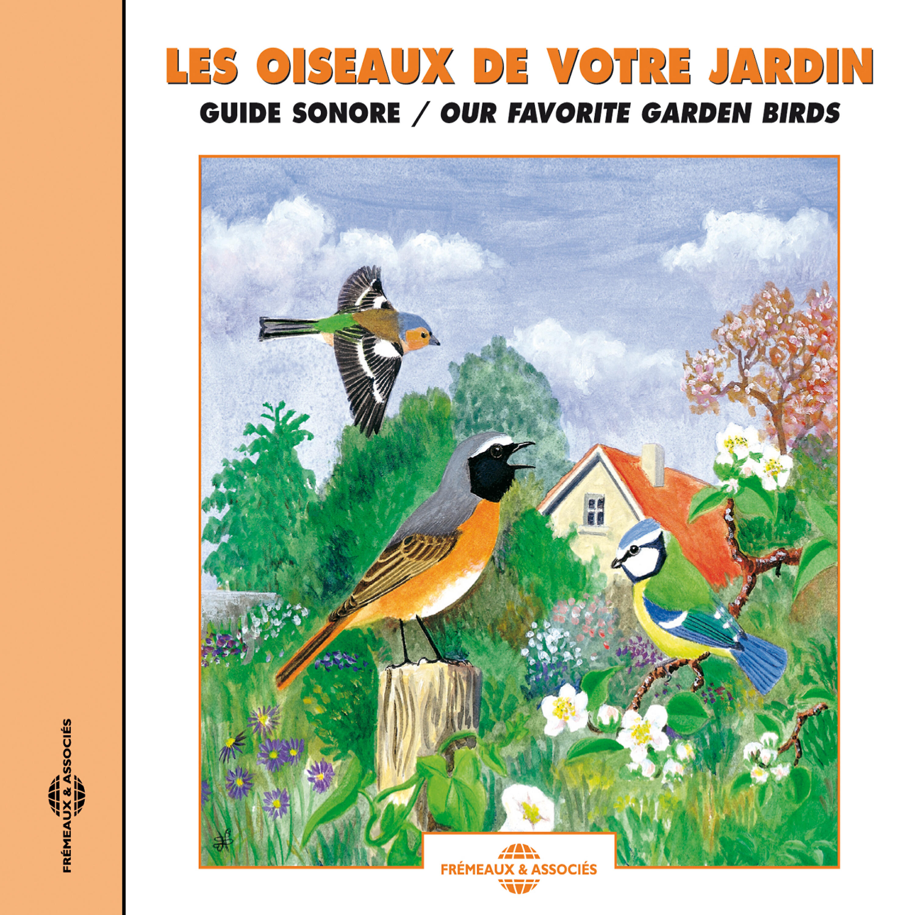 Bruant Mélanocéphale - Bruant Mélanocéphale