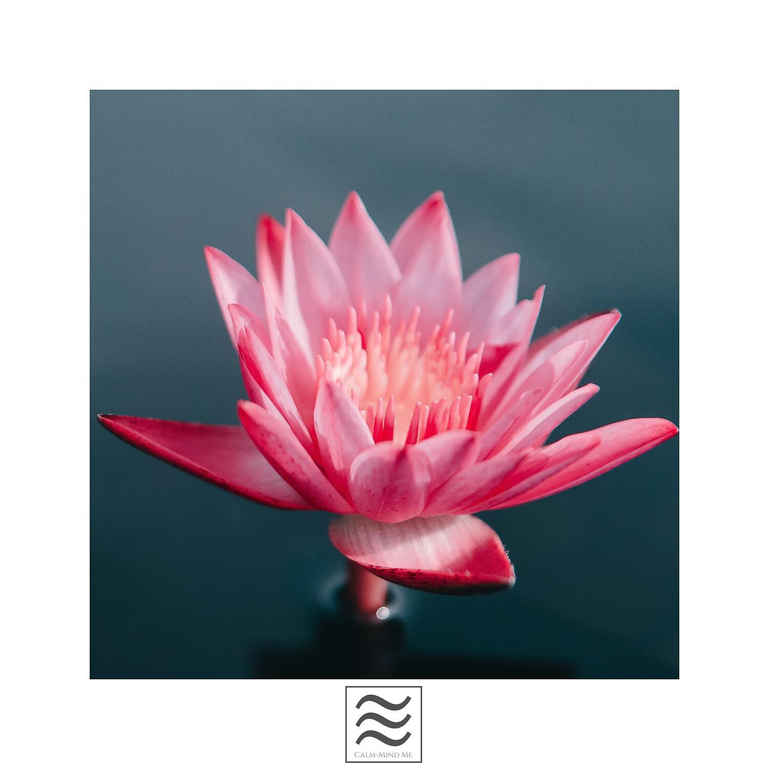 Sounds of Nature Noise - Relaxing Womb Noise