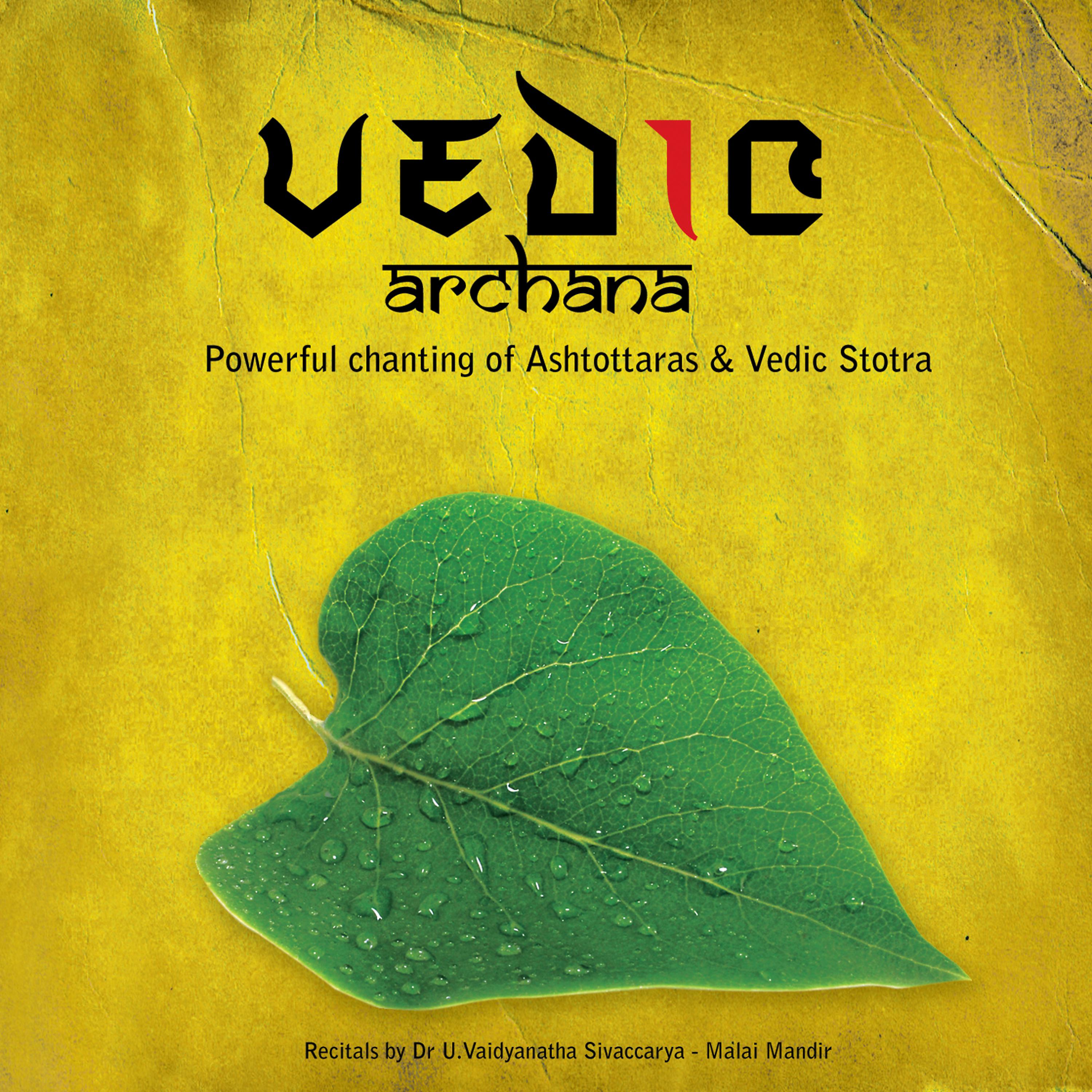 Постер альбома Vedic Archana (Mythodological Vedic Chants)