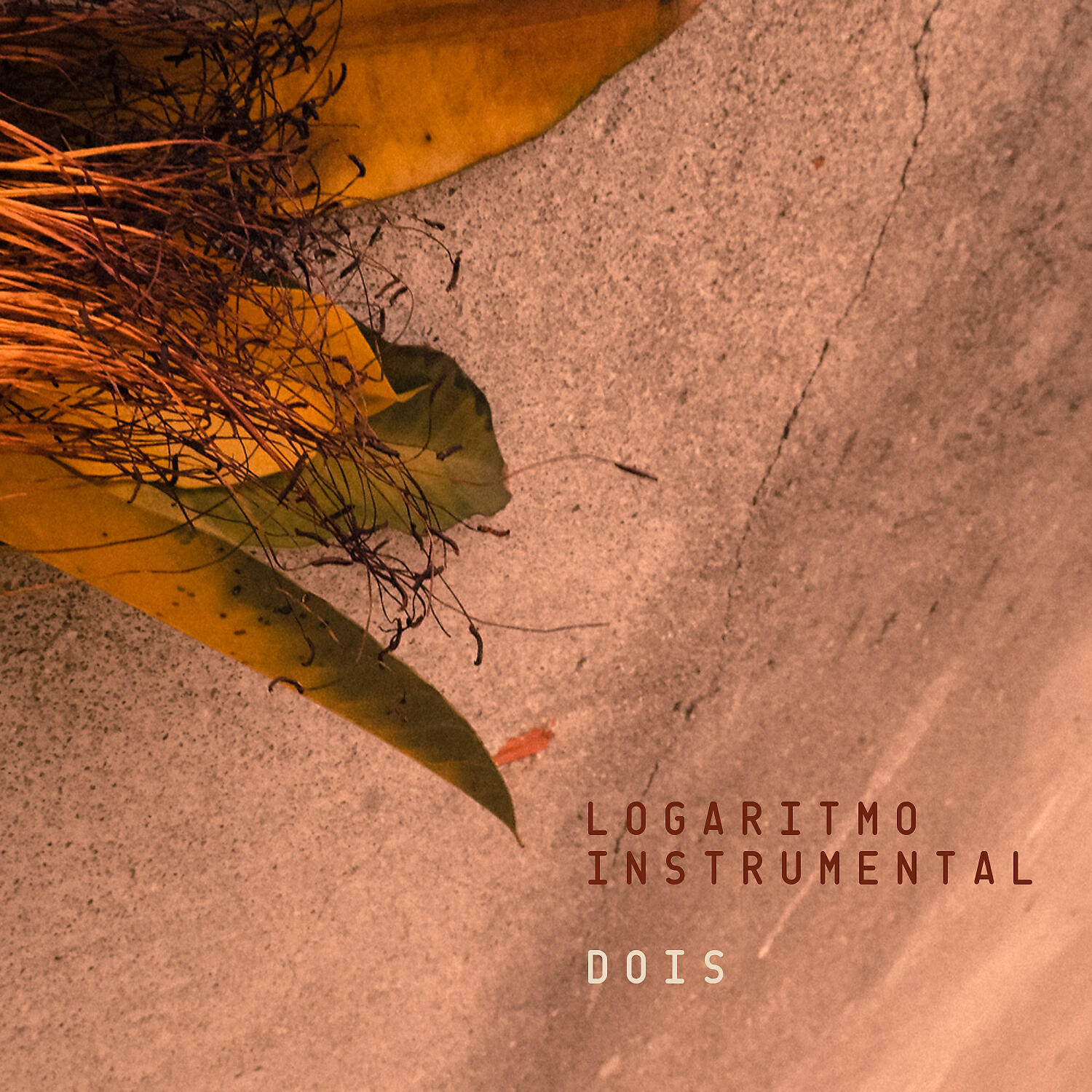 Logaritmo Instrumental - Cult Jazz And Jazzy