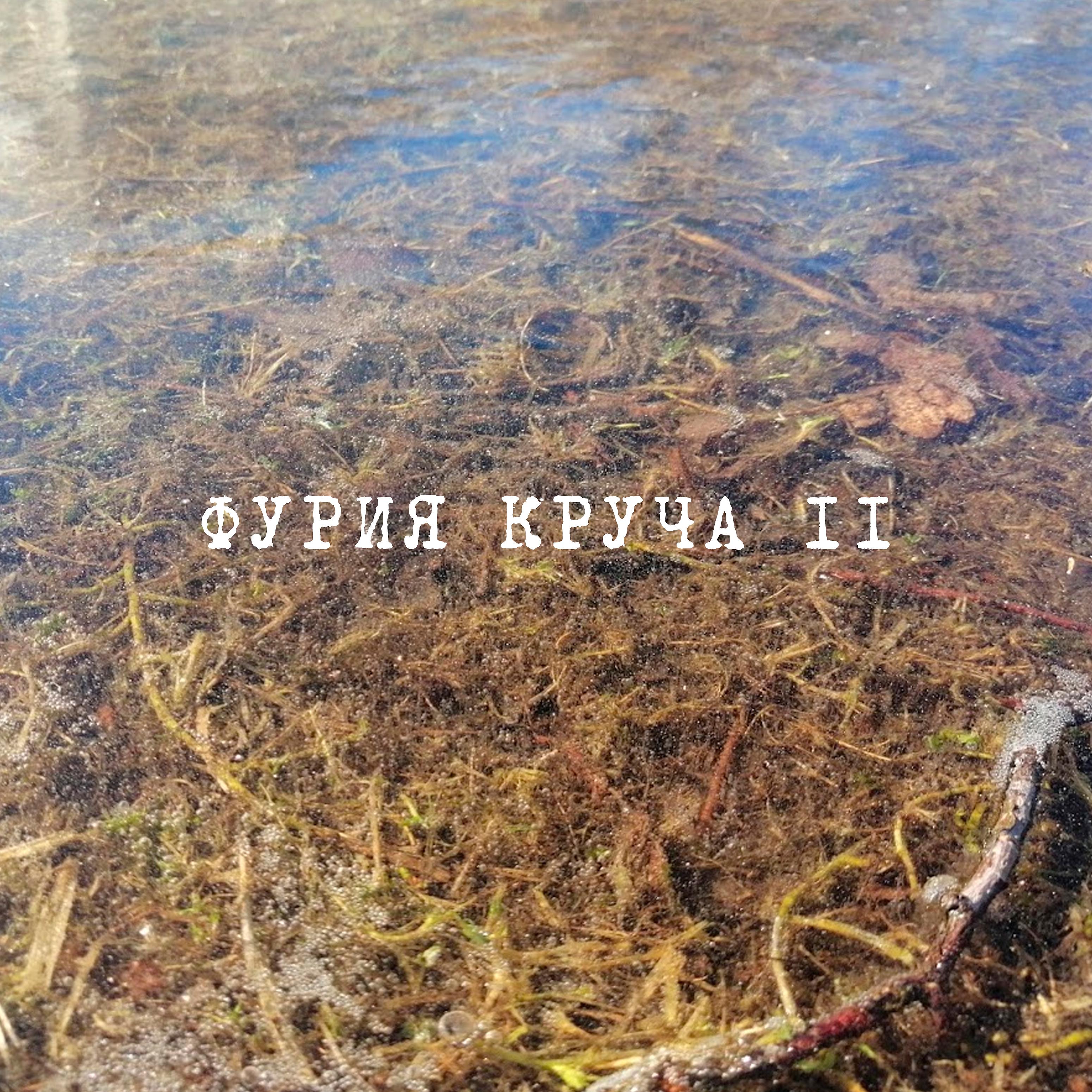 Постер альбома Фурия круча №2