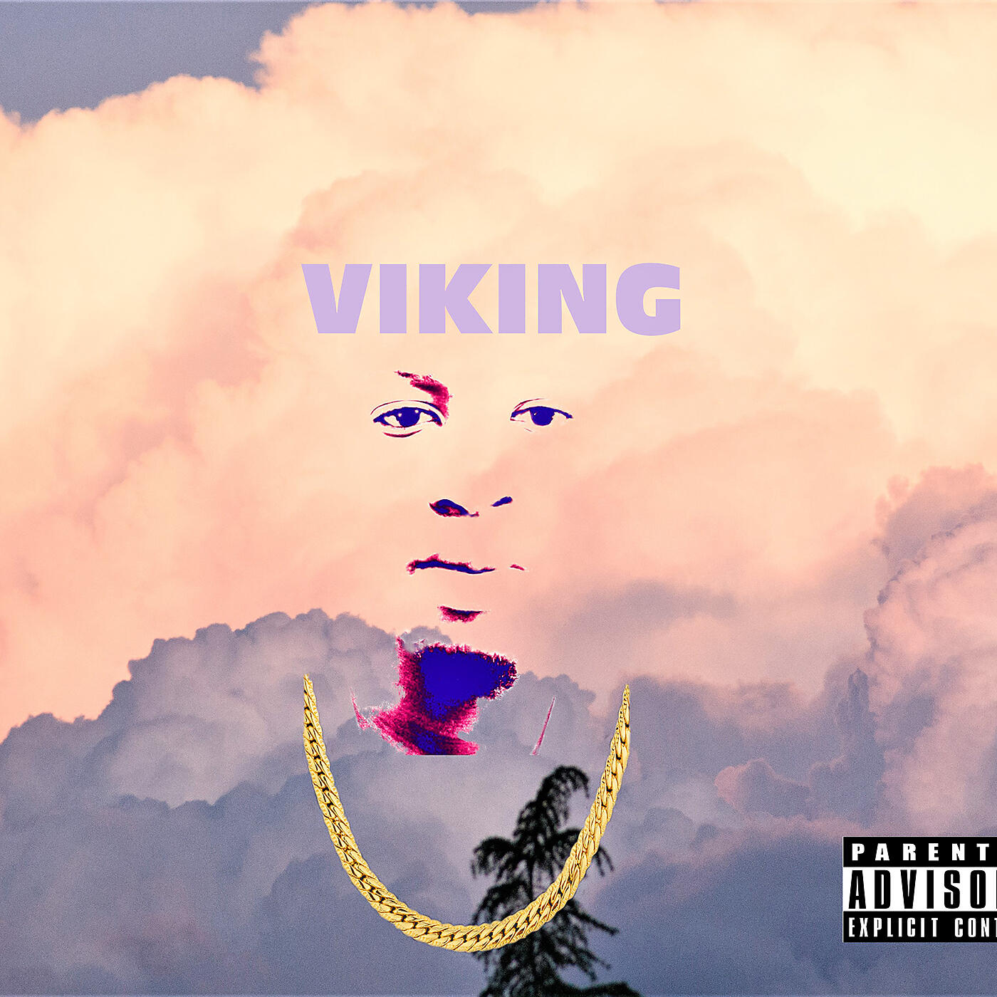 VIKING - Medication