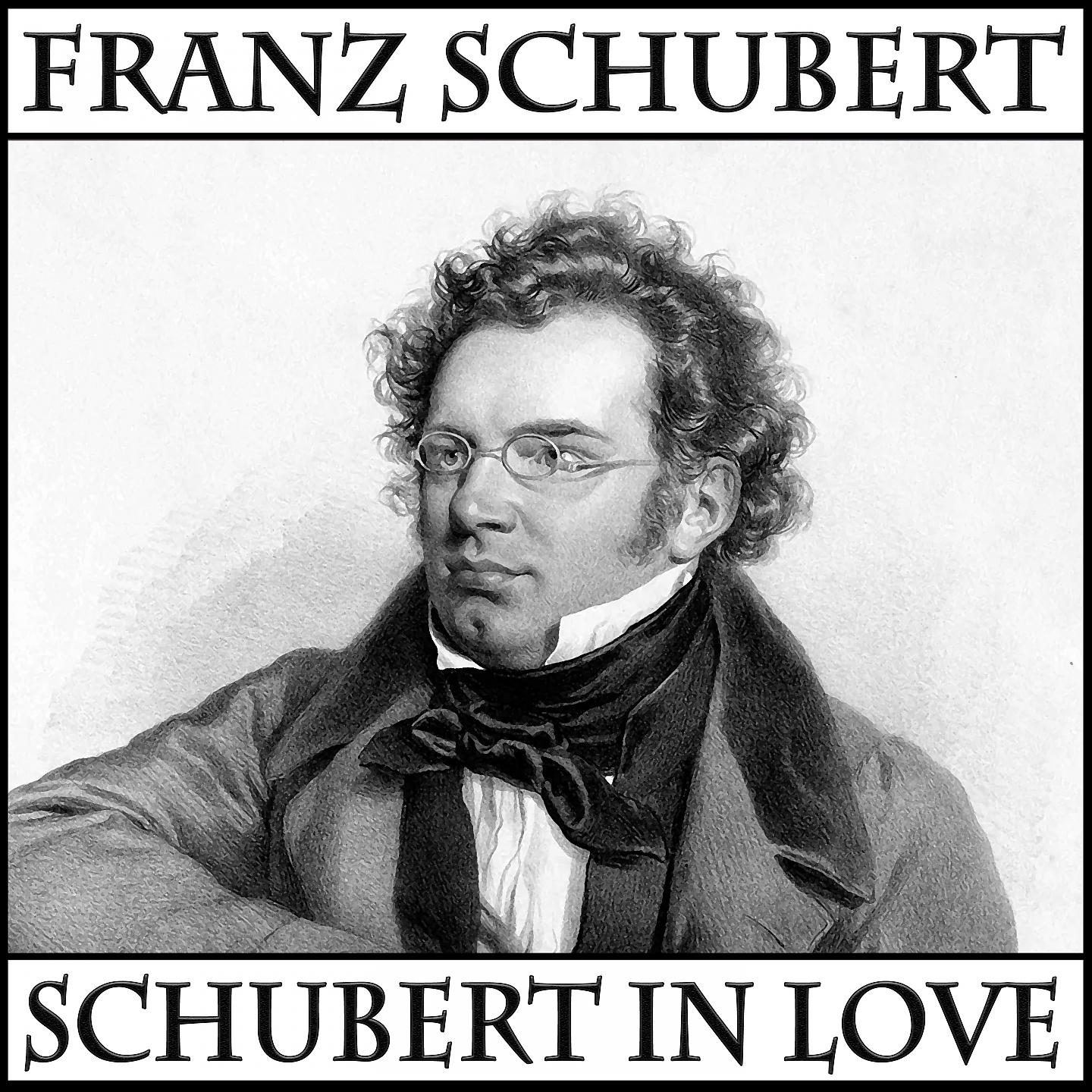 Постер альбома Schubert in love